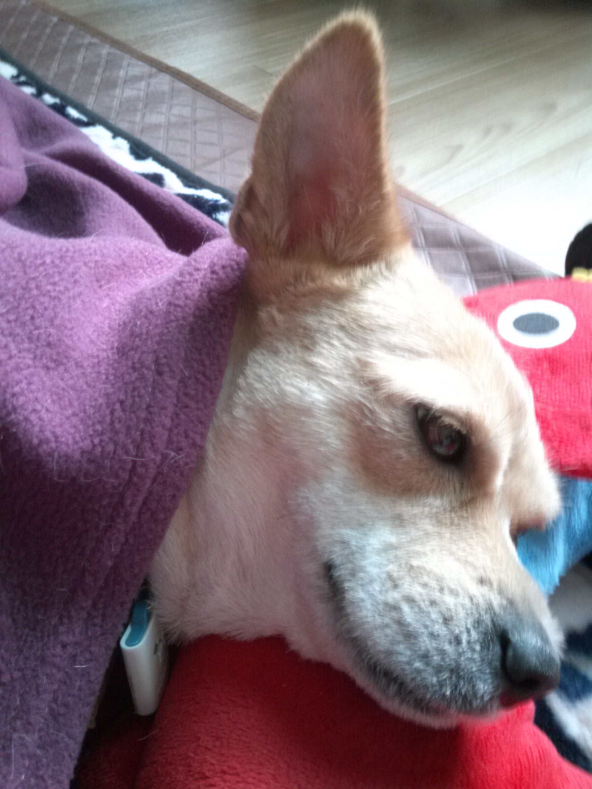 엄지공주의 일상들