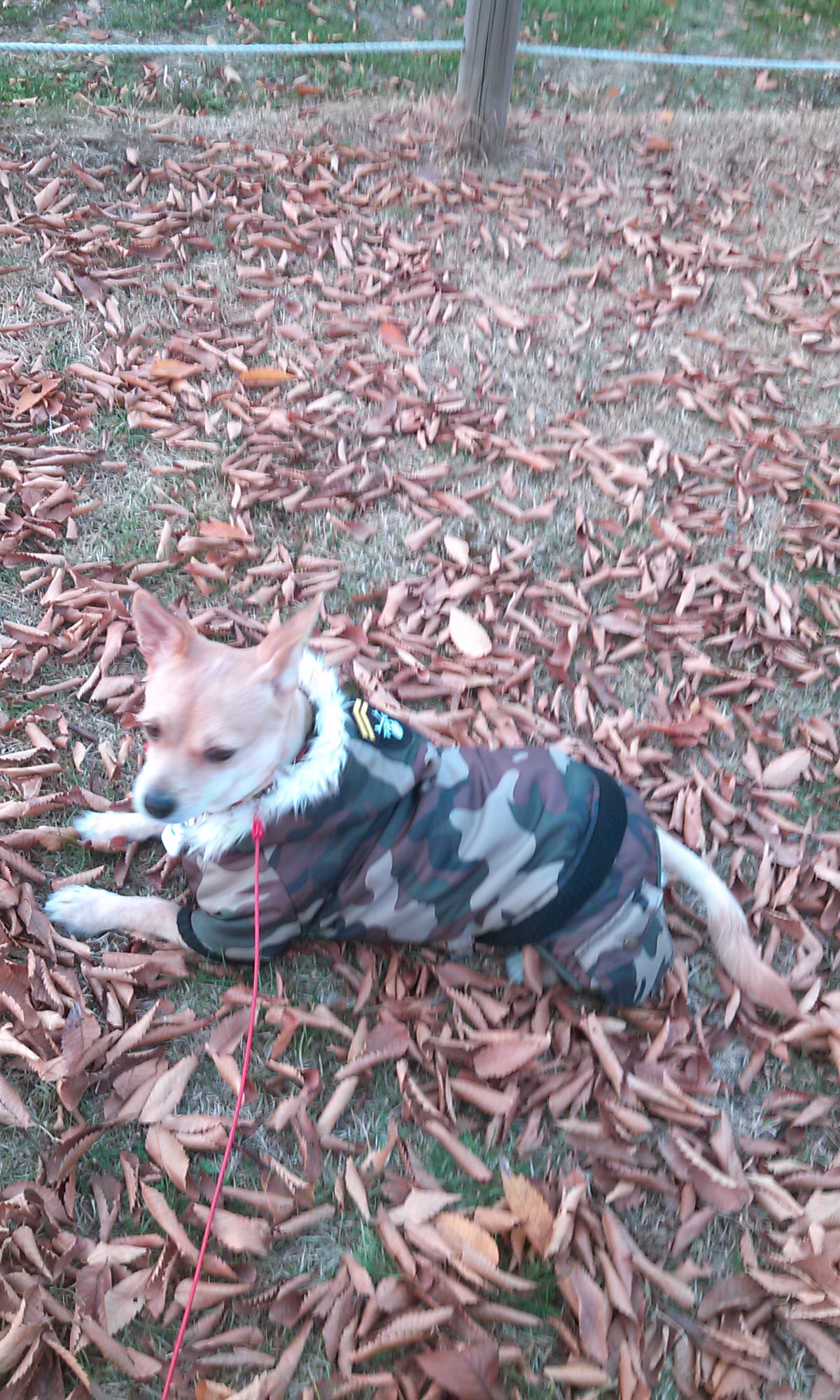 엄지공주의일상들2