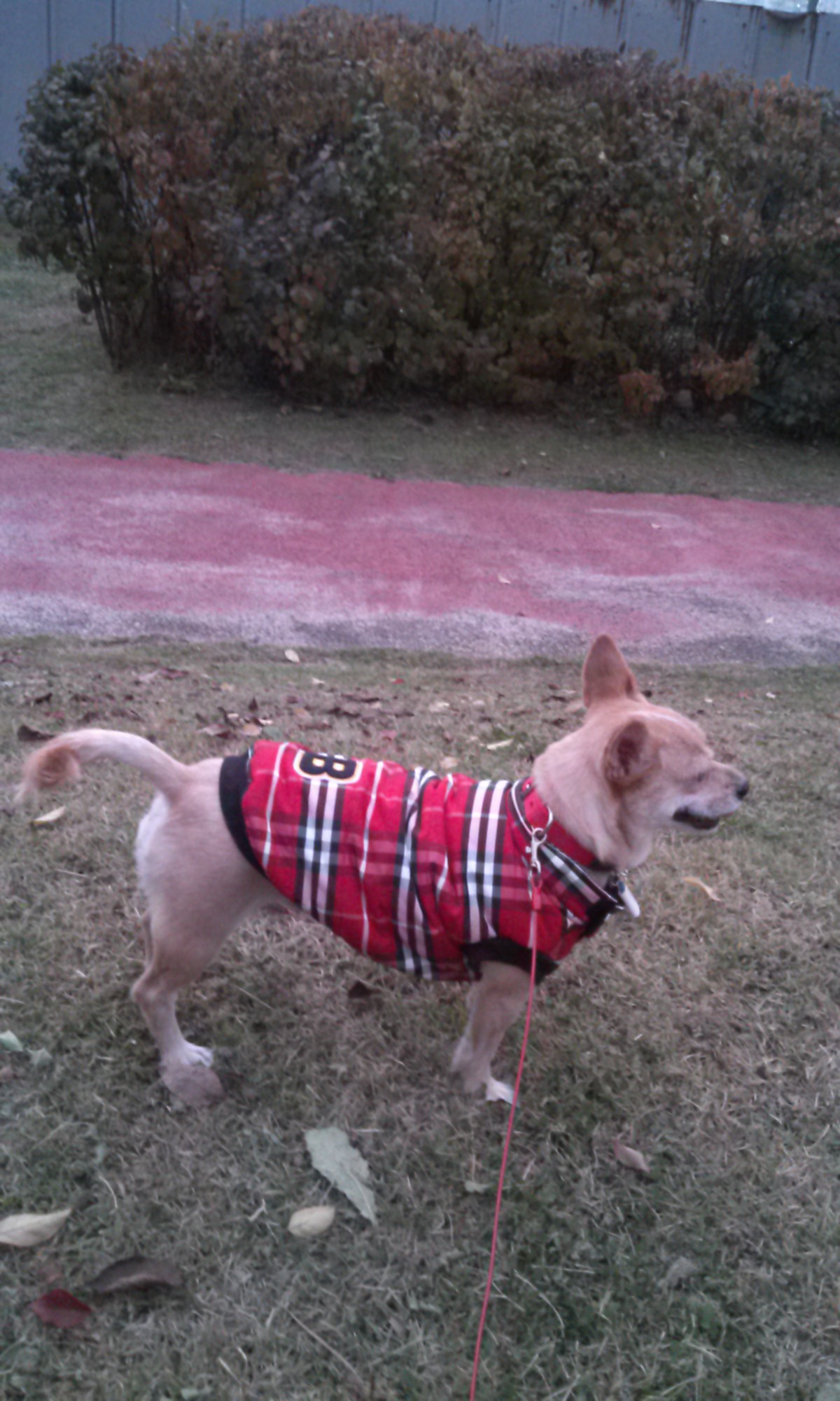 엄지공주의일상들2