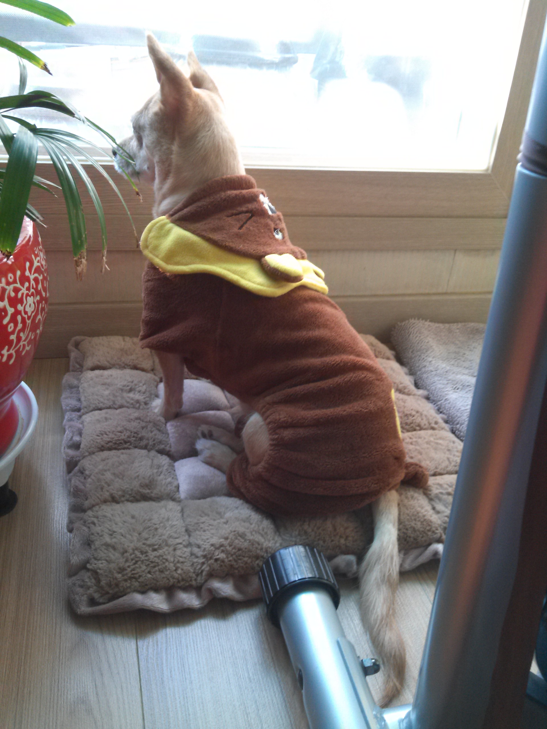 엄지공주의일상들2