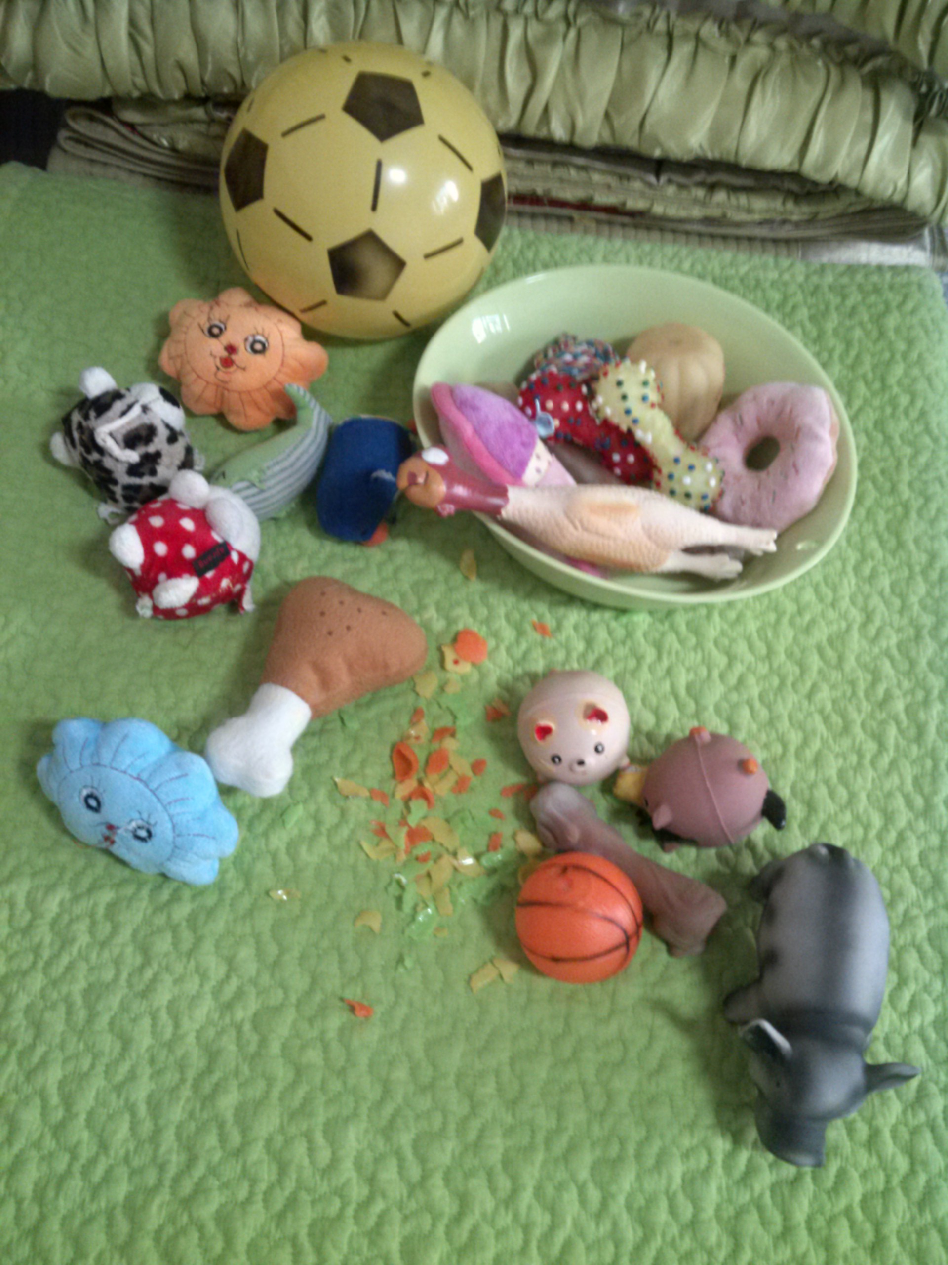 엄지공주의일상들2