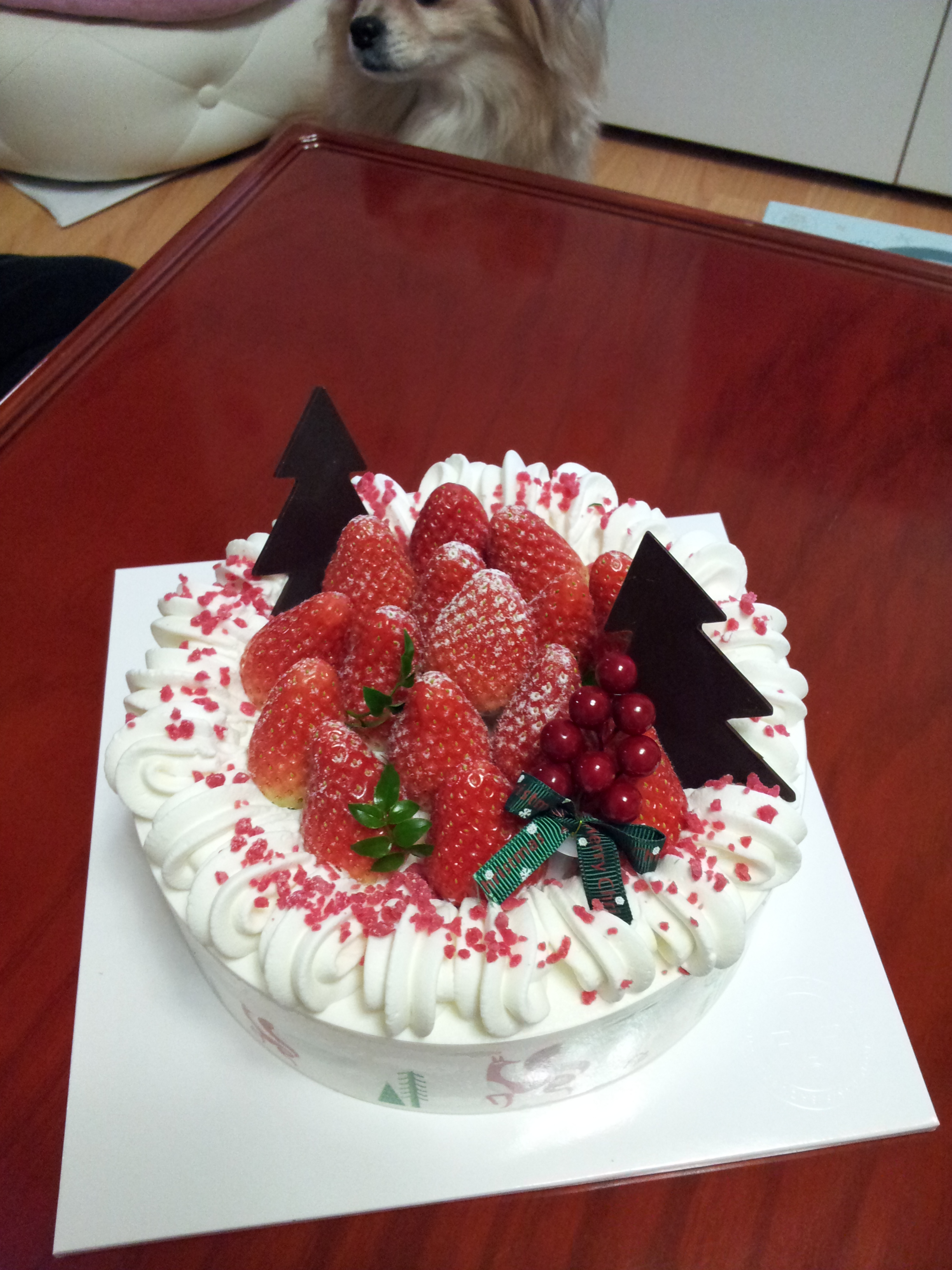 아이들과 함께 크리스마스이브 케익을~~