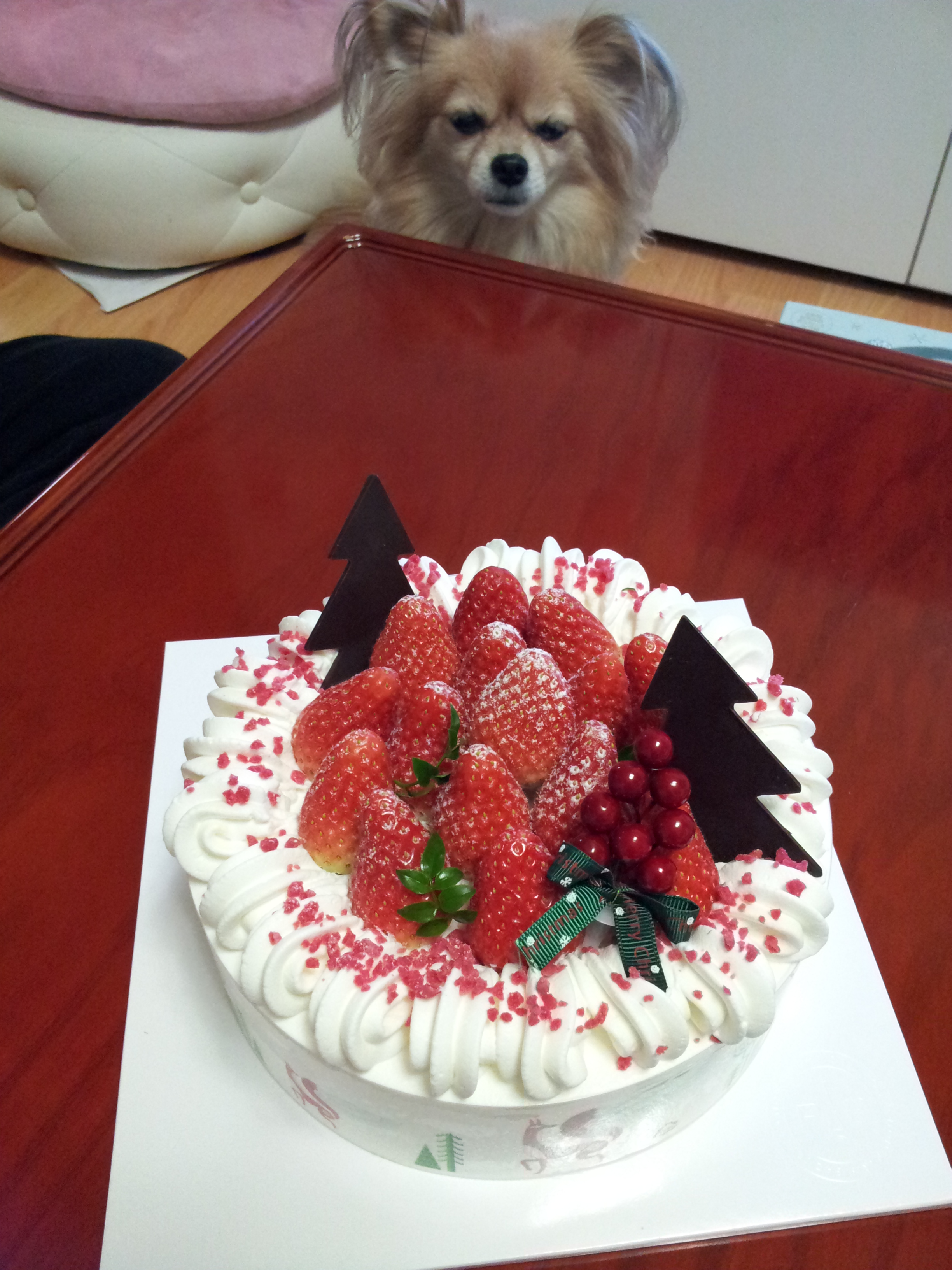 아이들과 함께 크리스마스이브 케익을~~