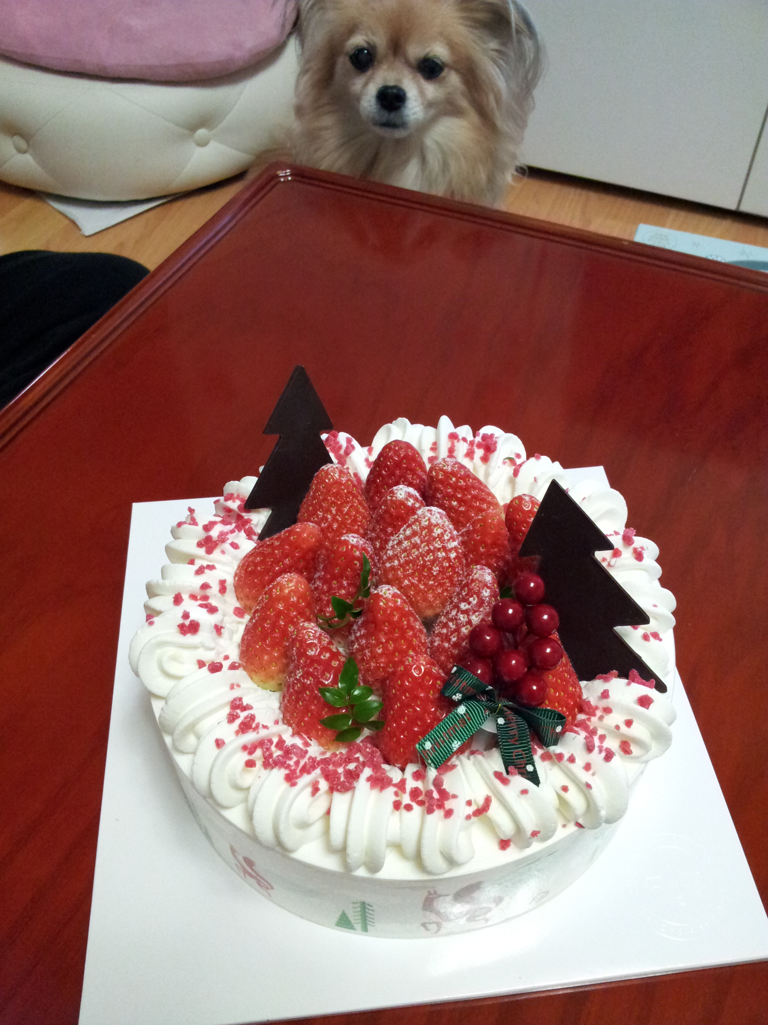 아이들과 함께 크리스마스이브 케익을~~