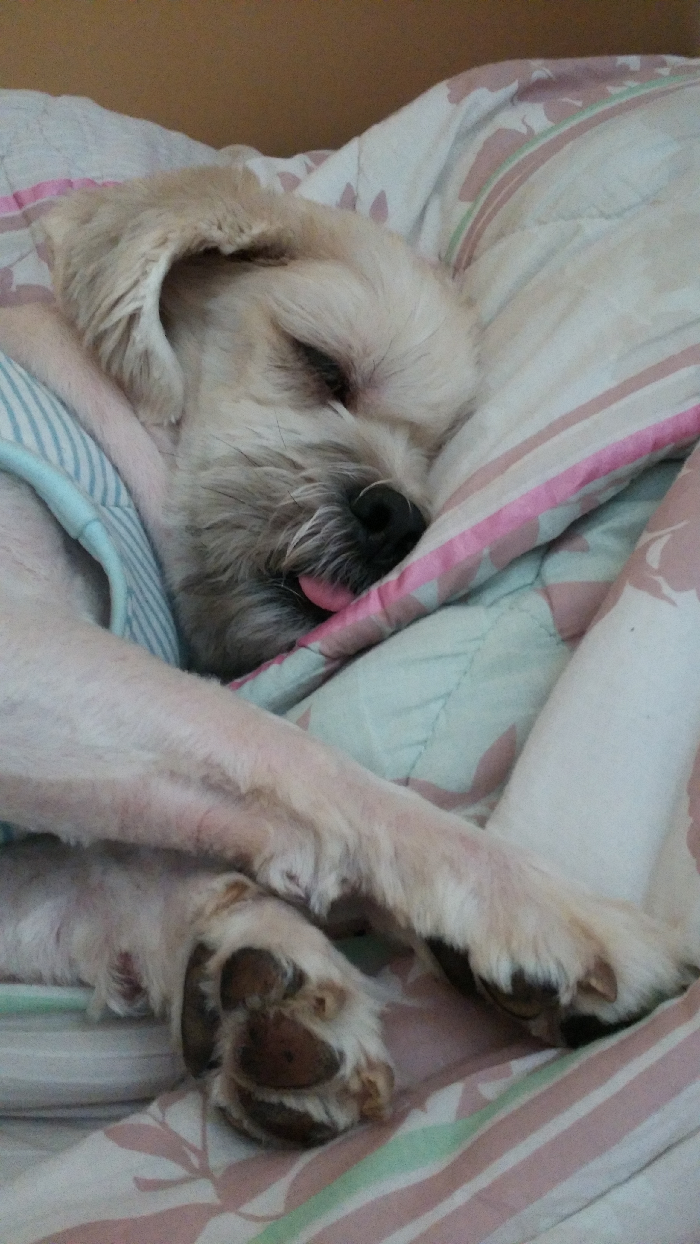 마루 새해인사 드려요~