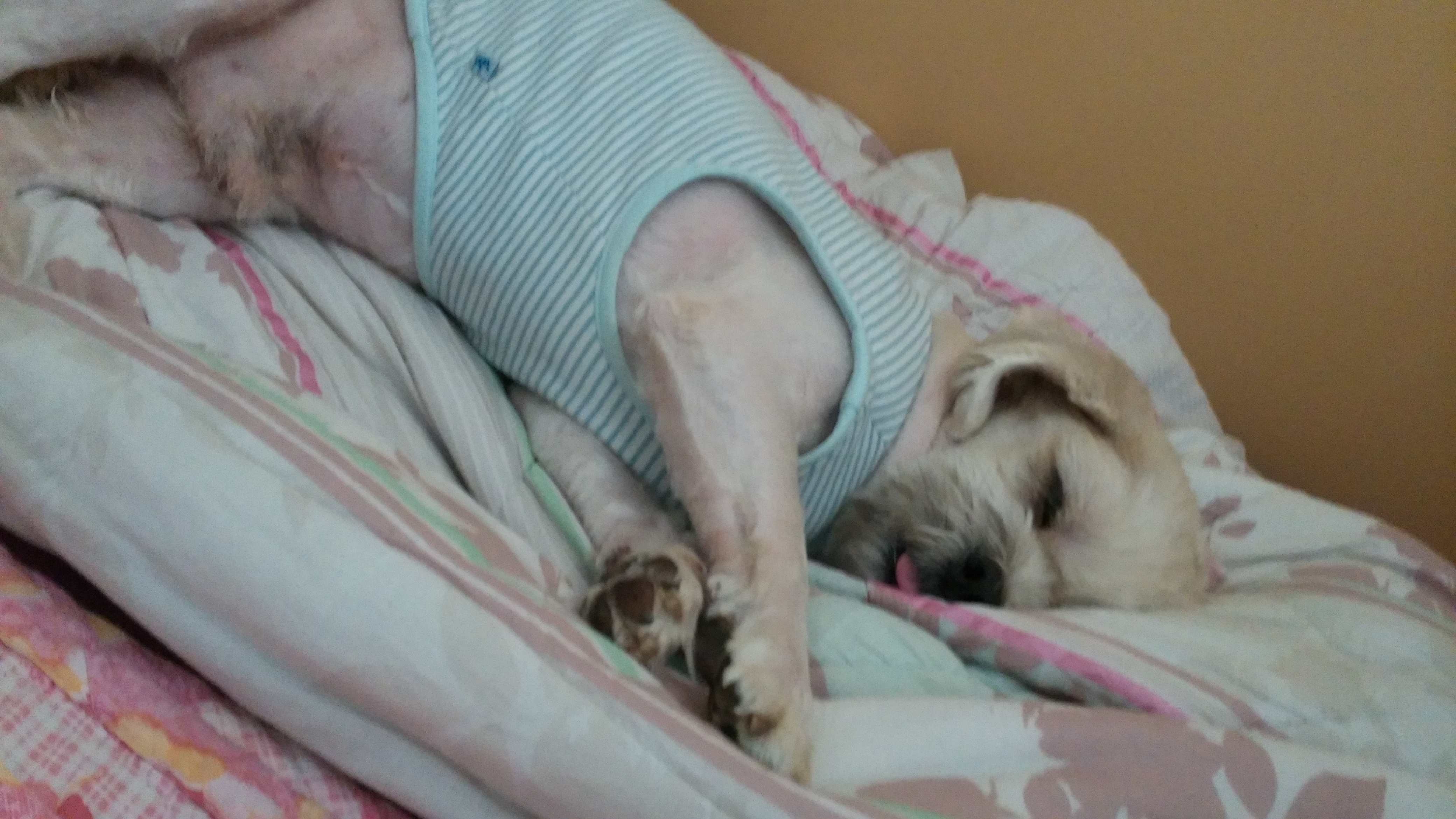 마루 새해인사 드려요~