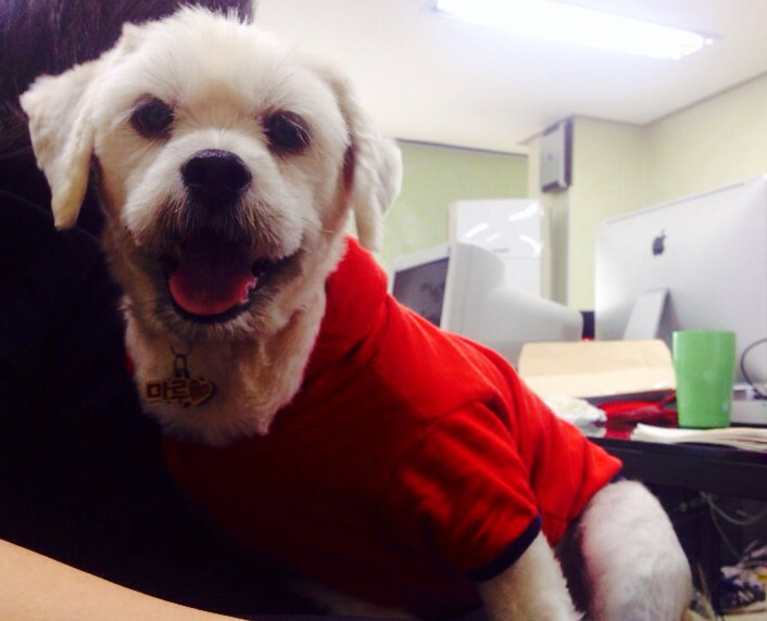 마루 새해인사 드려요~