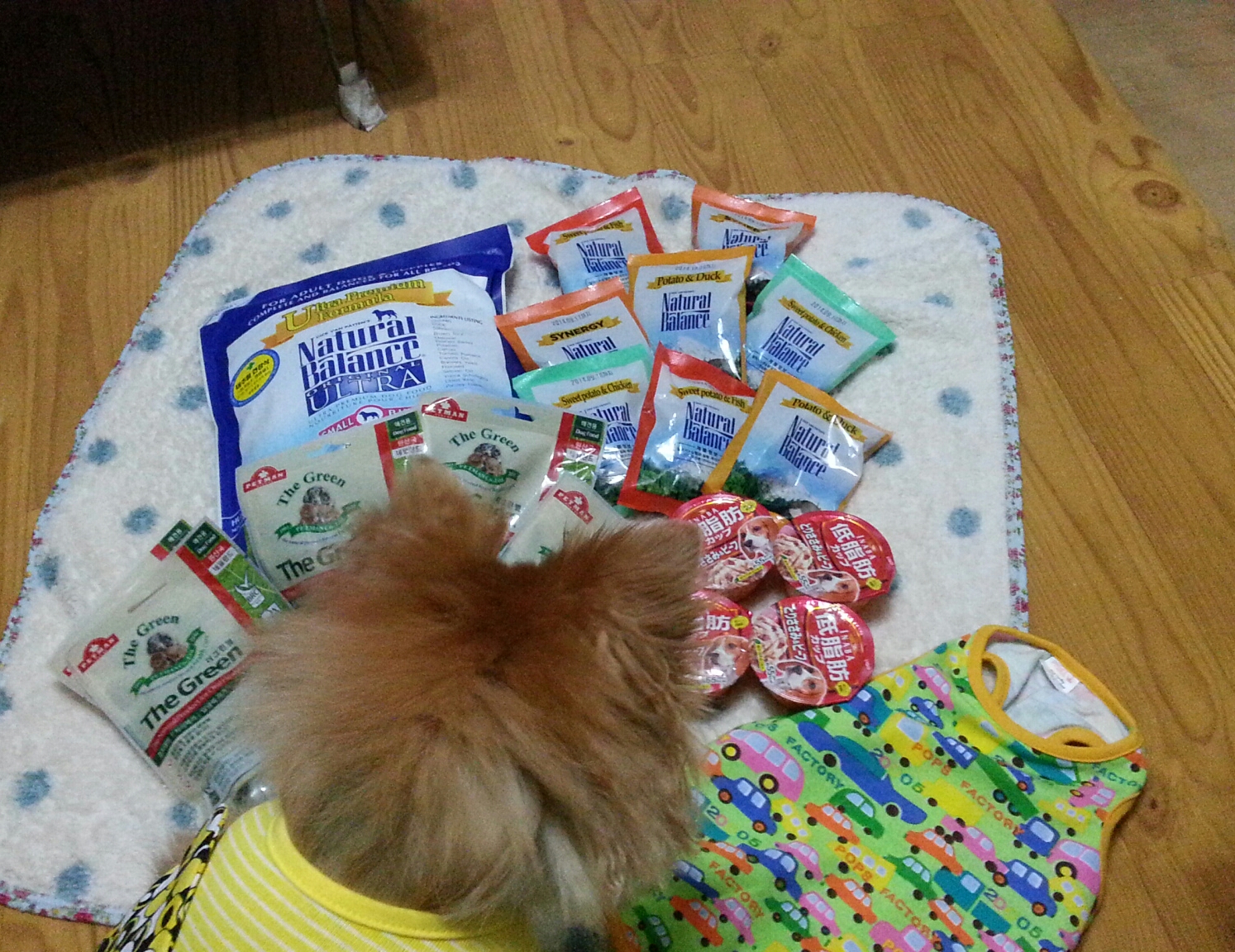 삼식이 우수상받았어요^ ^