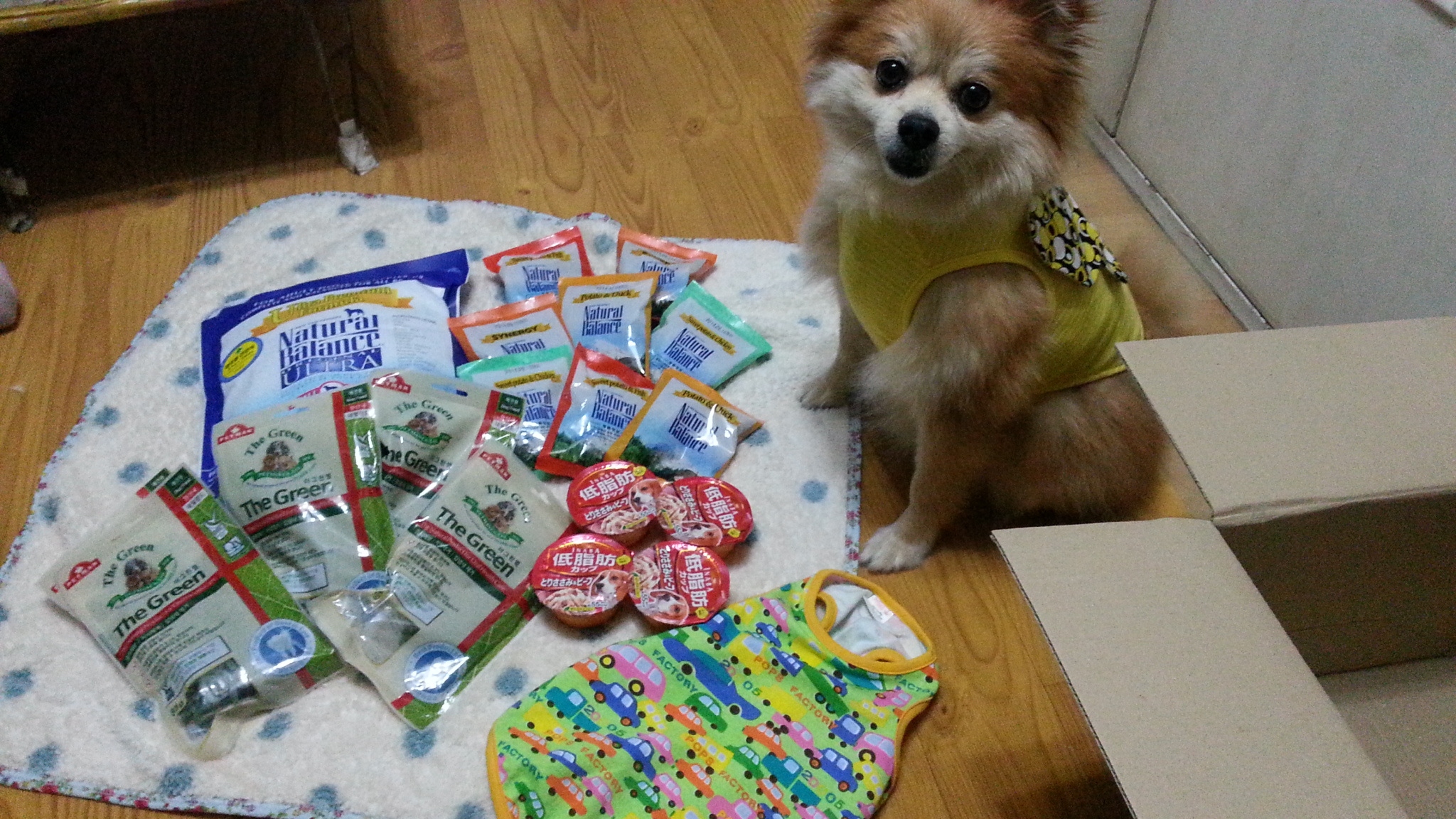 삼식이 우수상받았어요^ ^