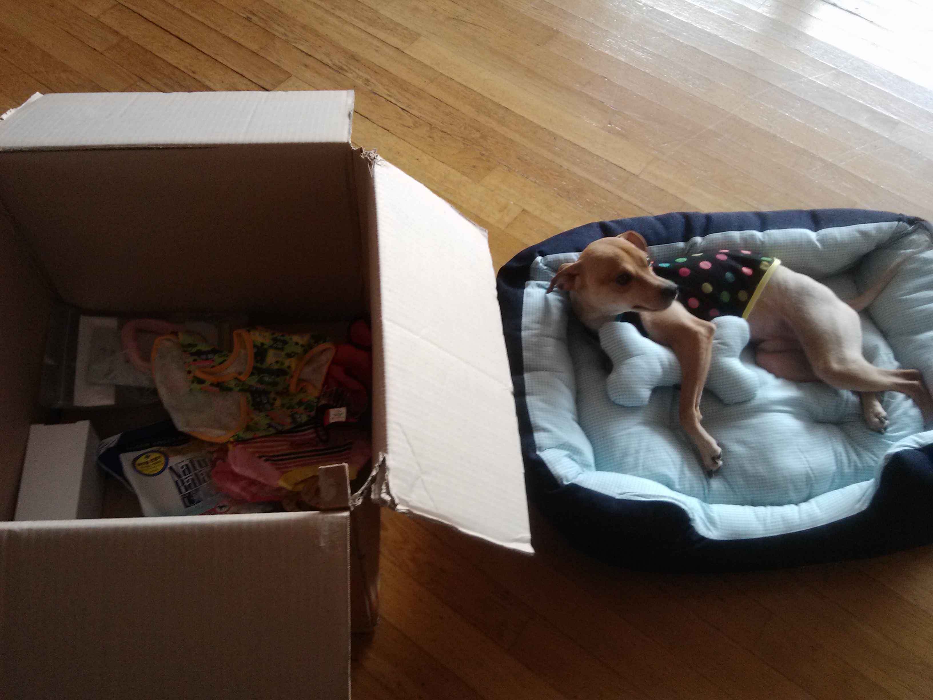 대상을 받았습니다~