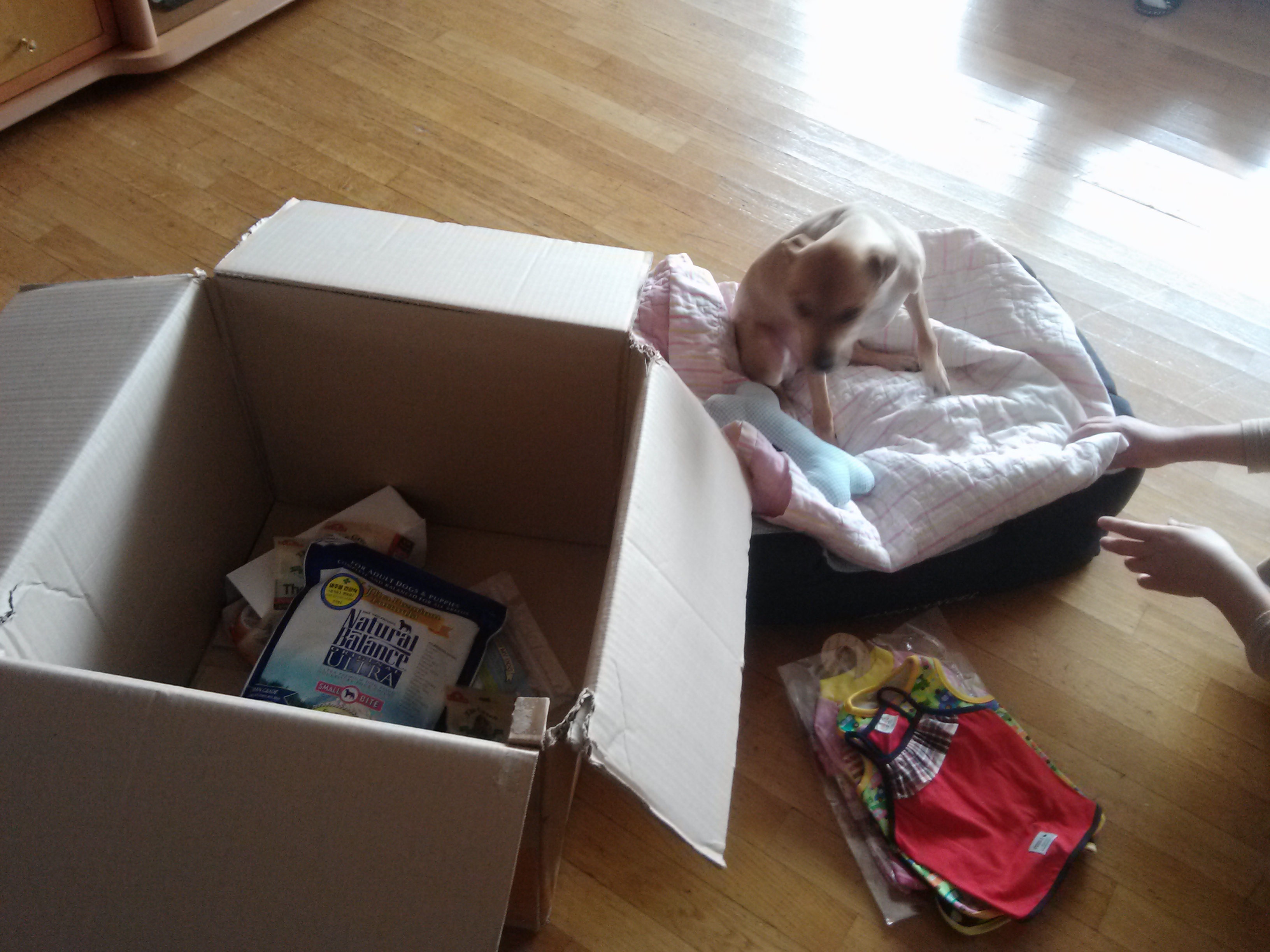 대상을 받았습니다~