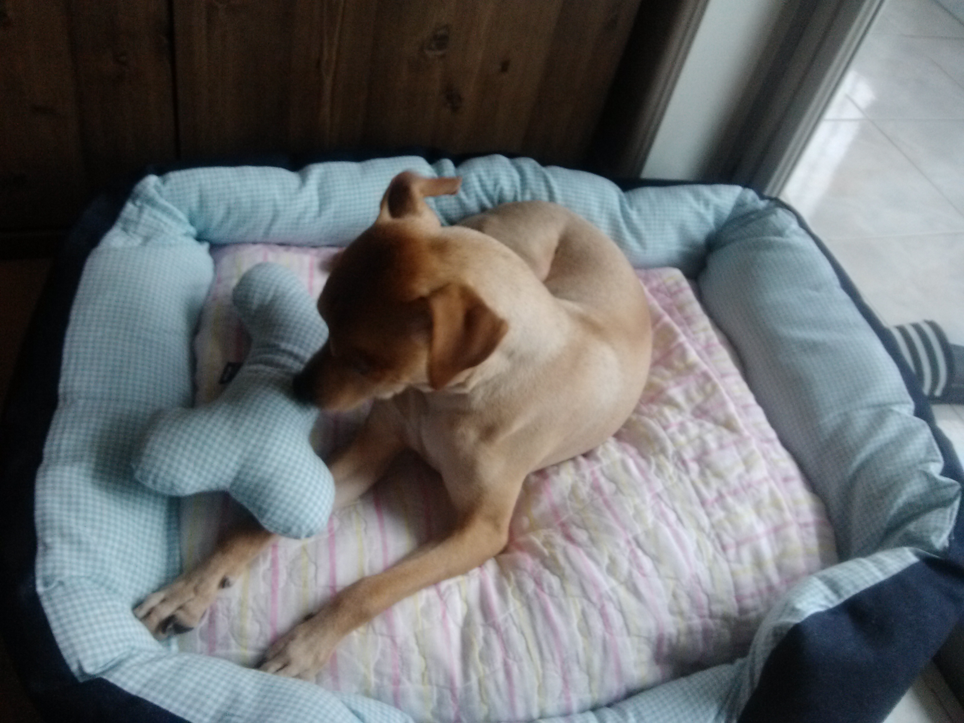 대상을 받았습니다~