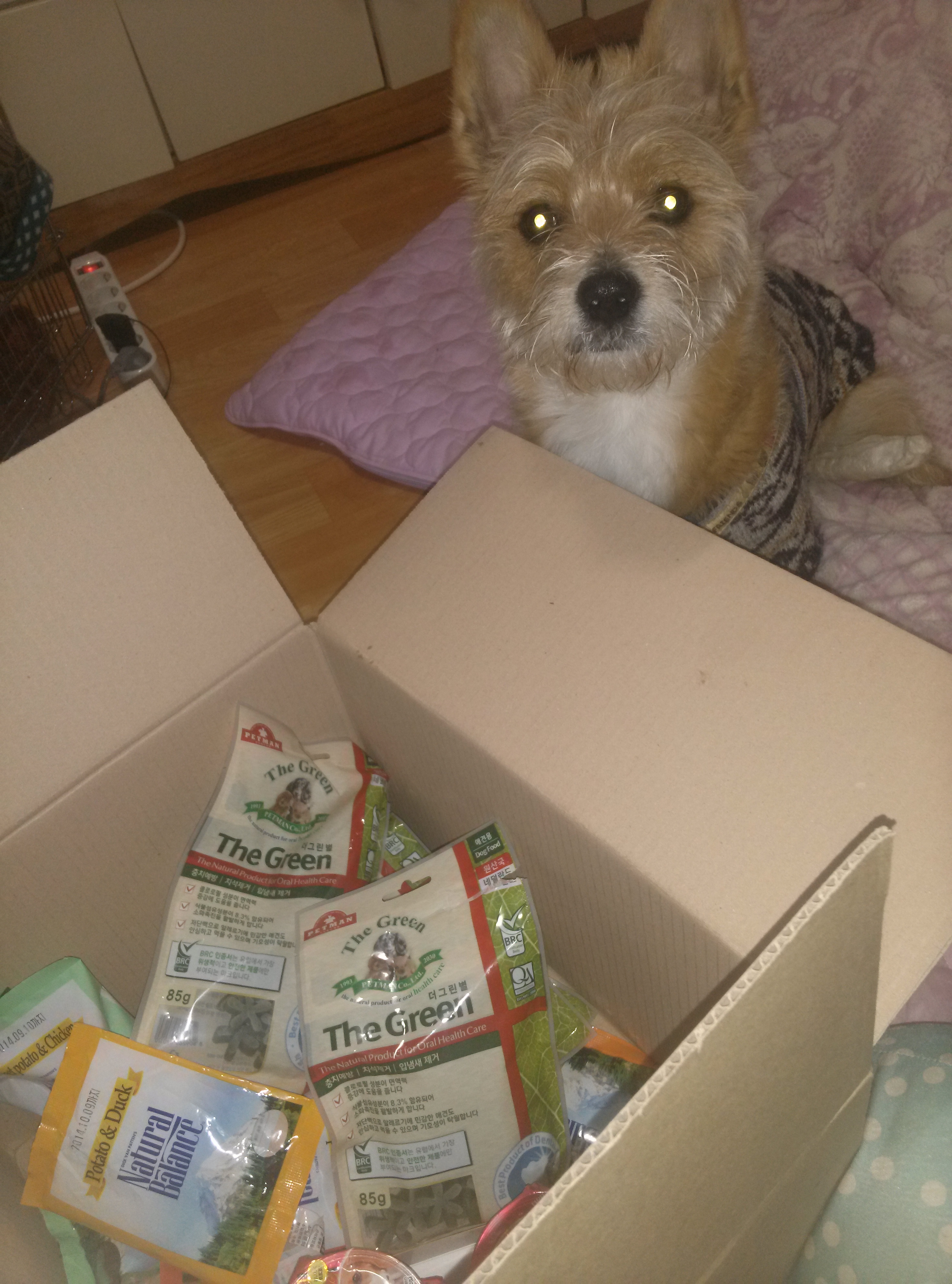 보내주신 선물 자~알 받았습니다*^^*