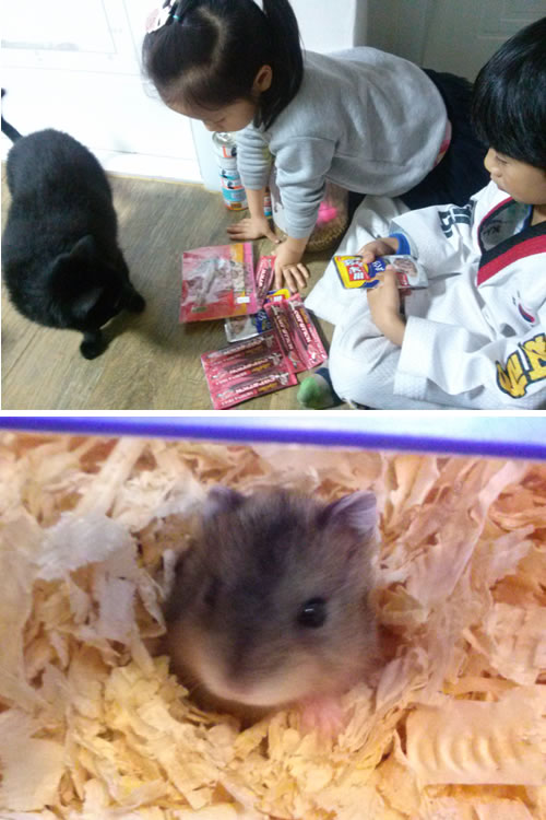 야후도 선물도착