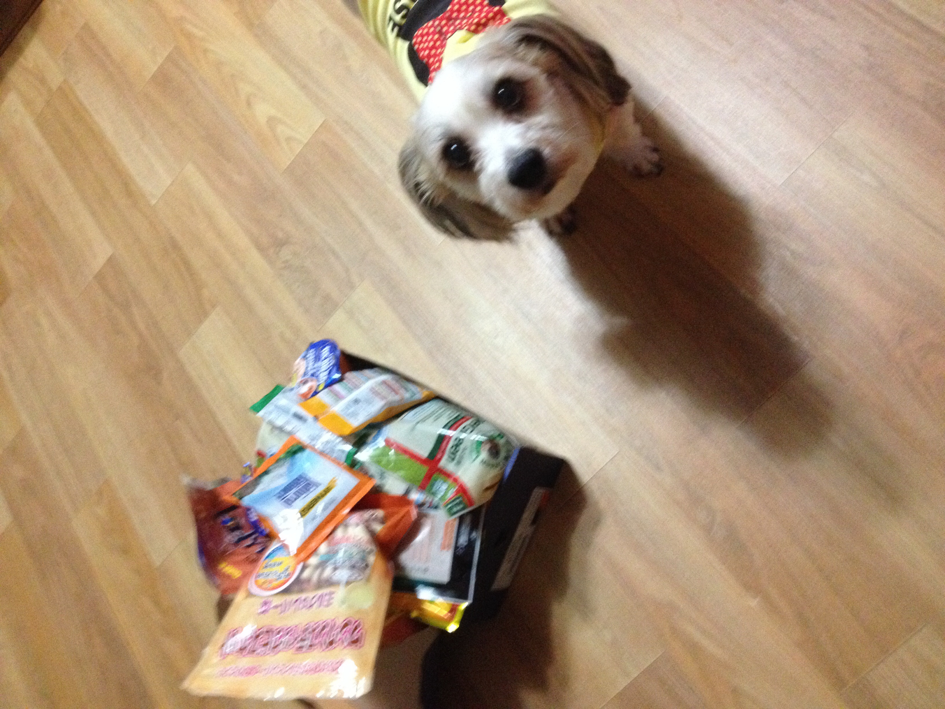 선물 정말 감사합니당~~