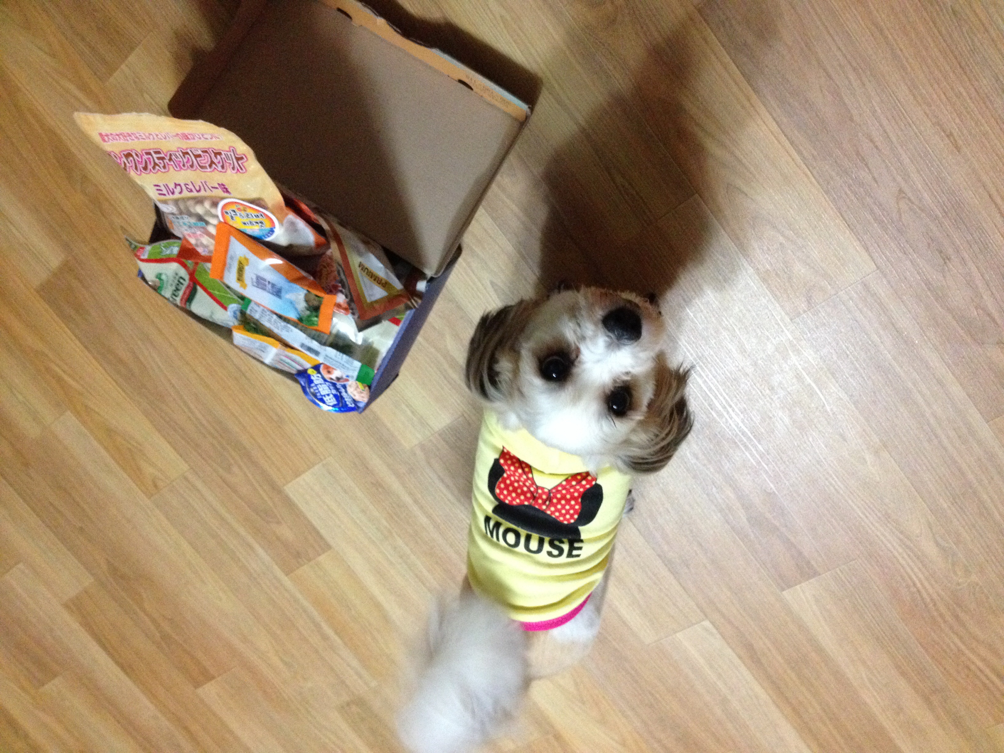 선물 정말 감사합니당~~