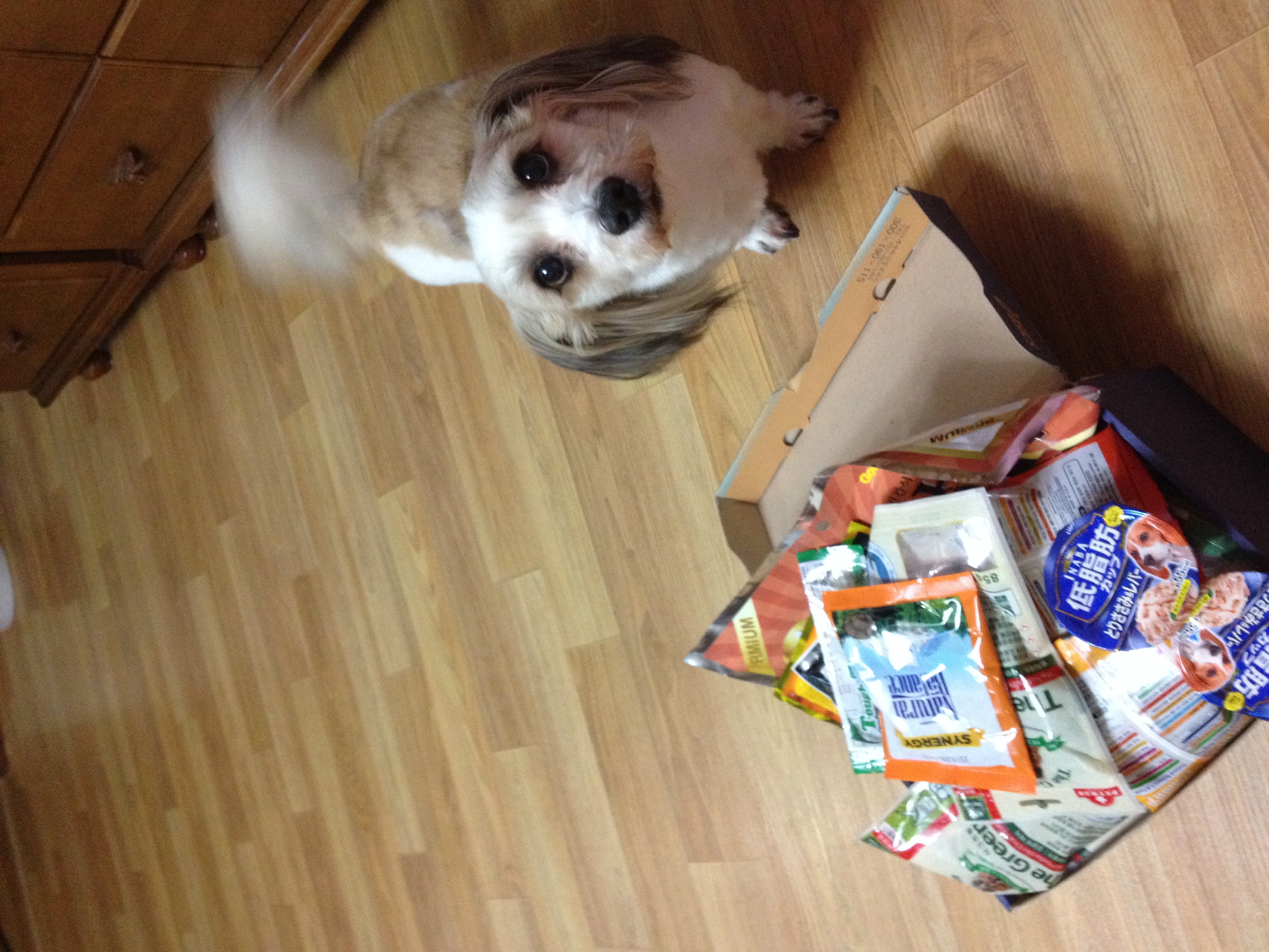 선물 정말 감사합니당~~