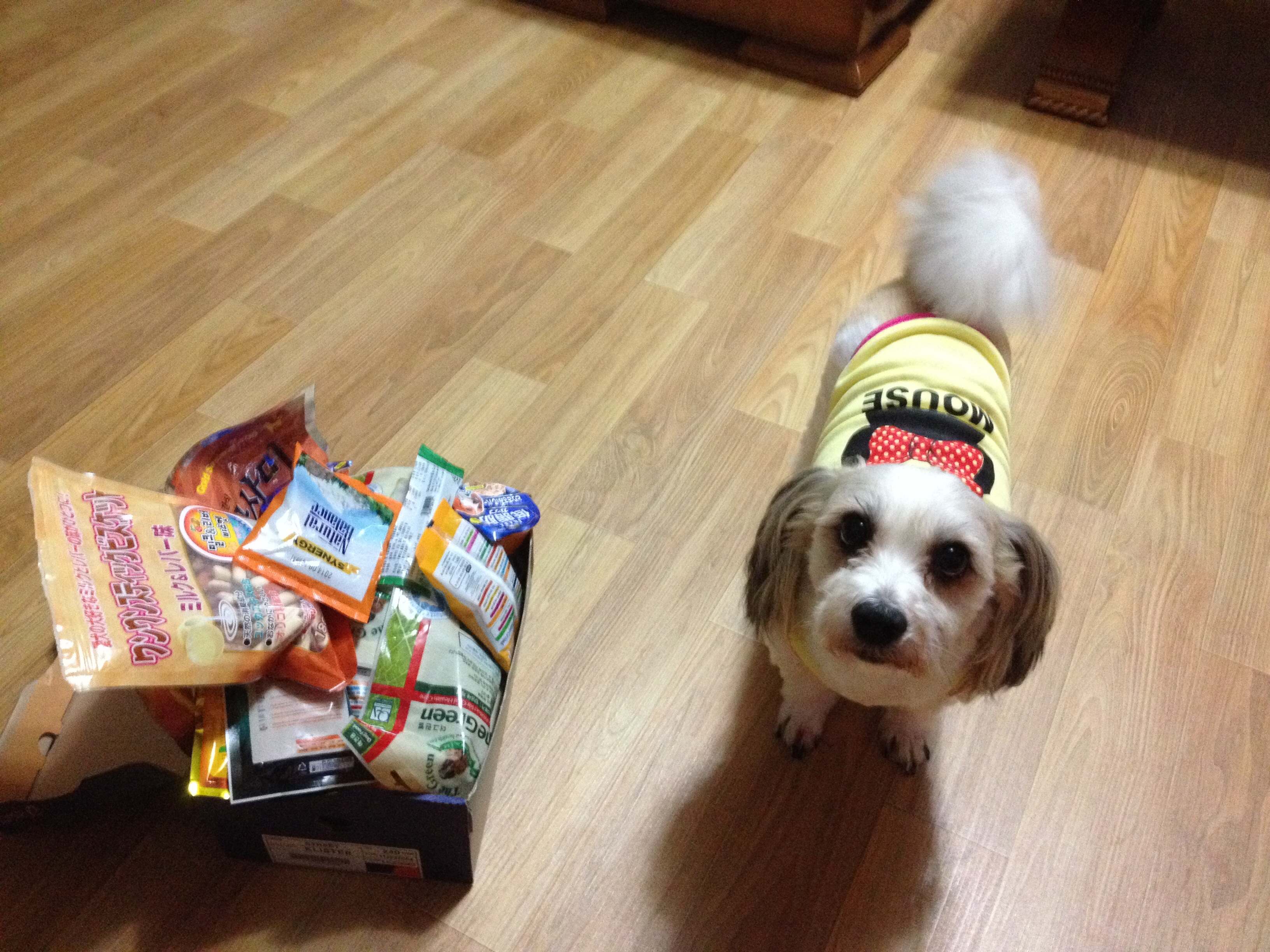 선물 정말 감사합니당~~