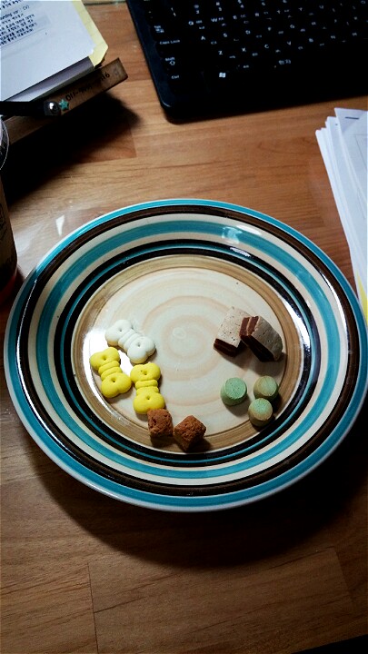 다이어트가 필요한 테리 ㅠㅠ