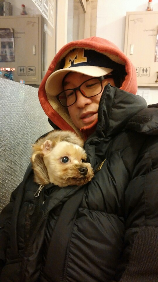 다이어트가 필요한 테리 ㅠㅠ