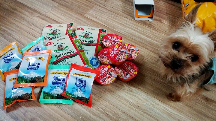 다이어트가 필요한 테리 ㅠㅠ