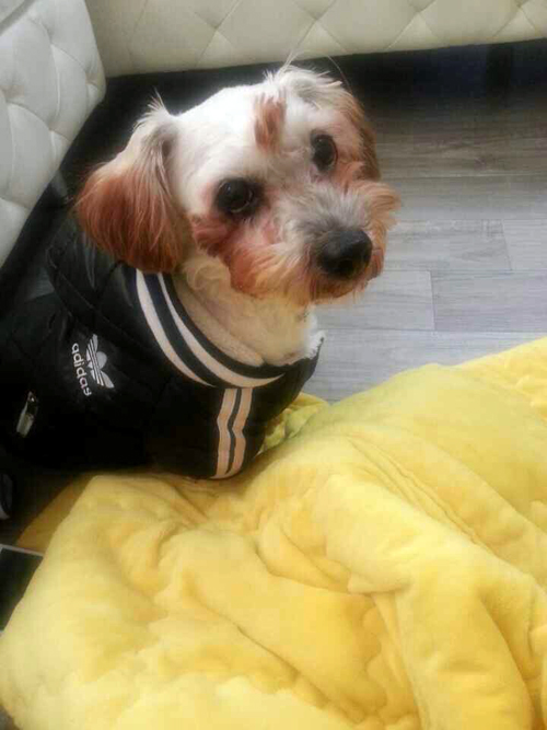 우리바우가 달라졌어요....^^