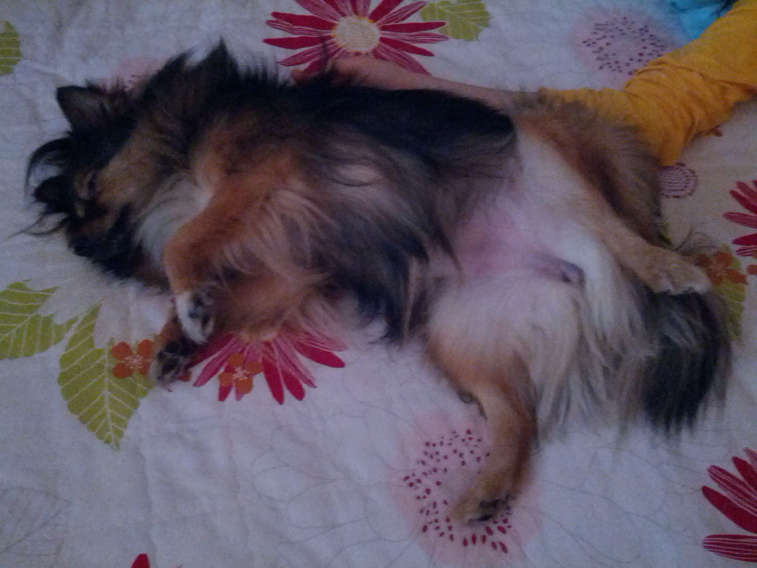 베를린 오랜만에 왔어요.