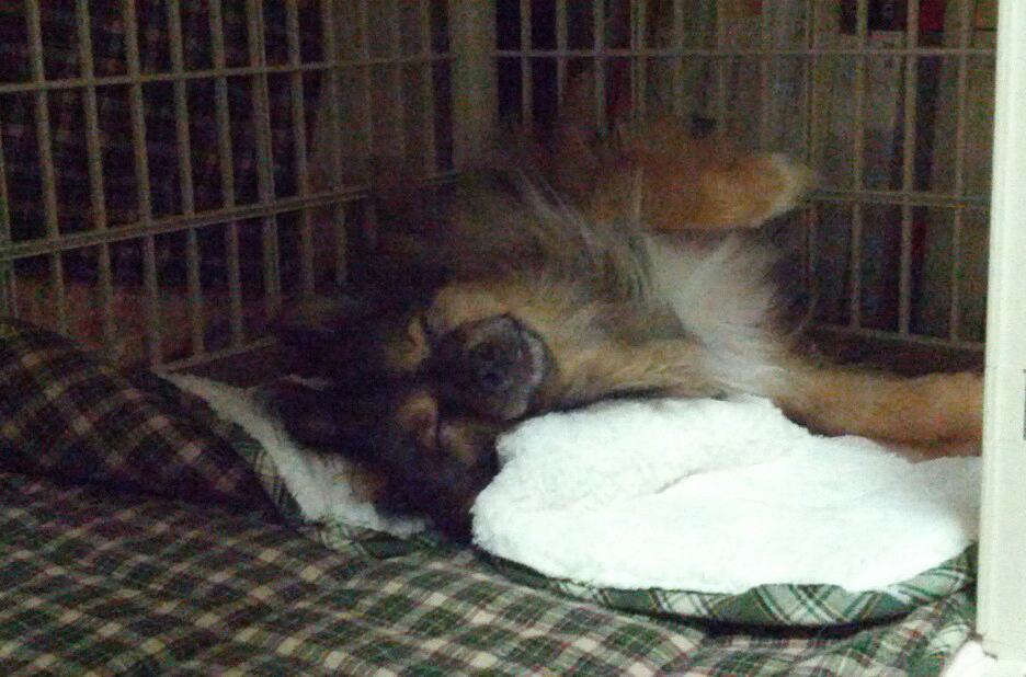 베를린 오랜만에 왔어요.