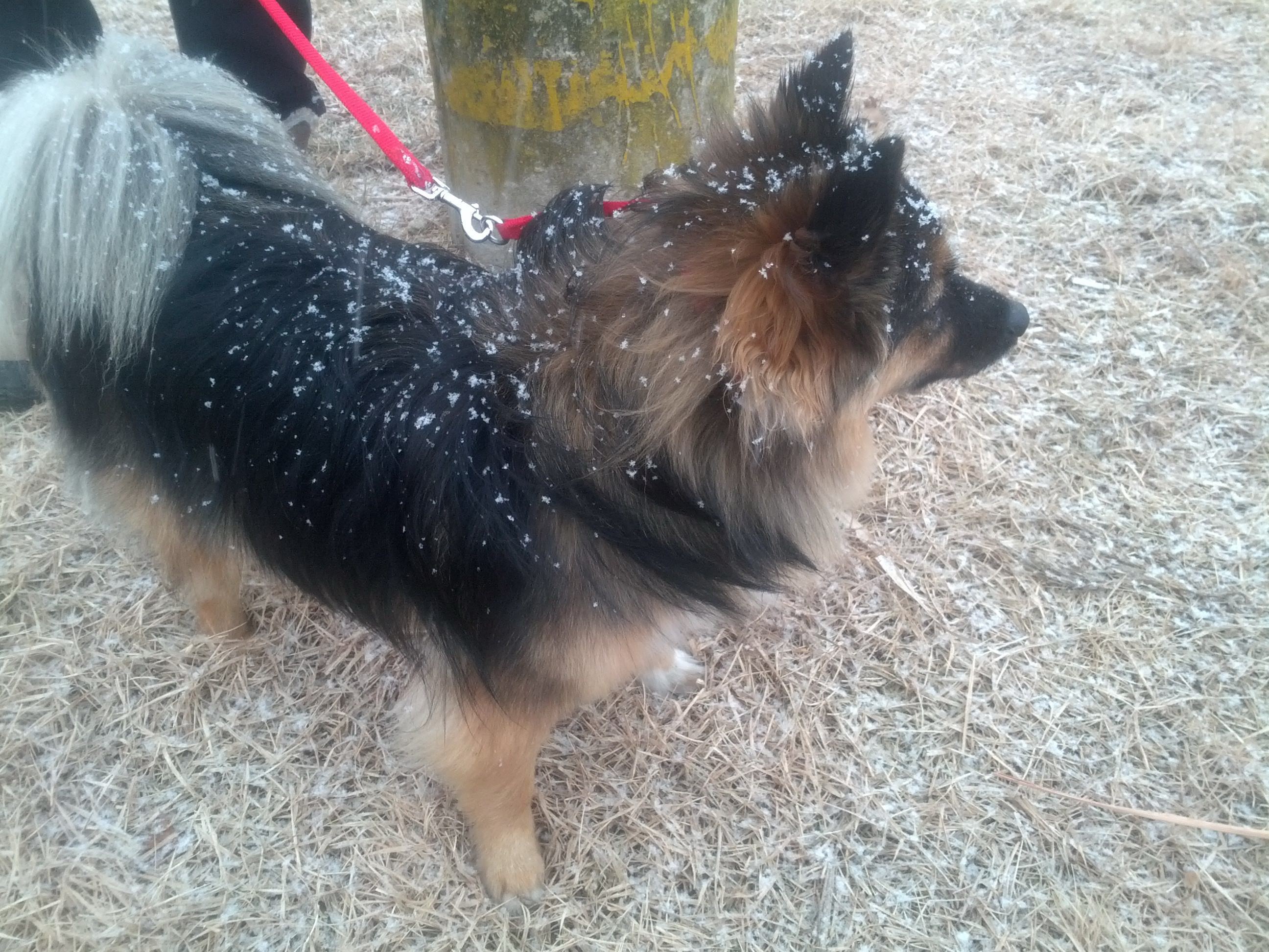 베를린 오랜만에 왔어요.