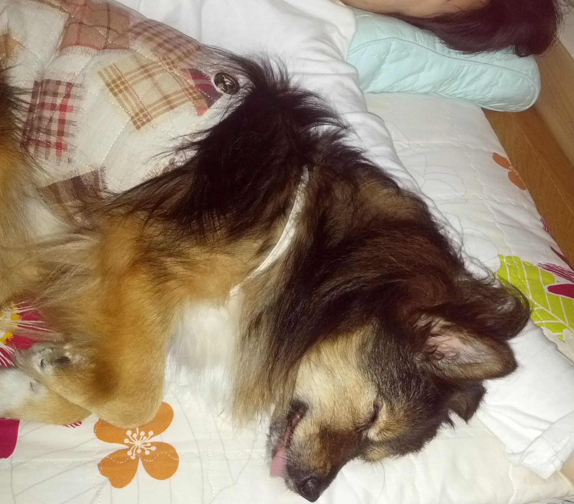 베를린 오랜만에 왔어요.