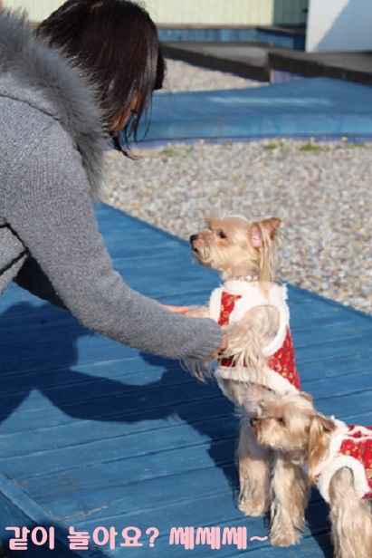 해탈(칸),콩이 가족된지 3년 