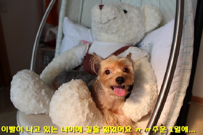 해탈(칸),콩이 가족된지 3년 