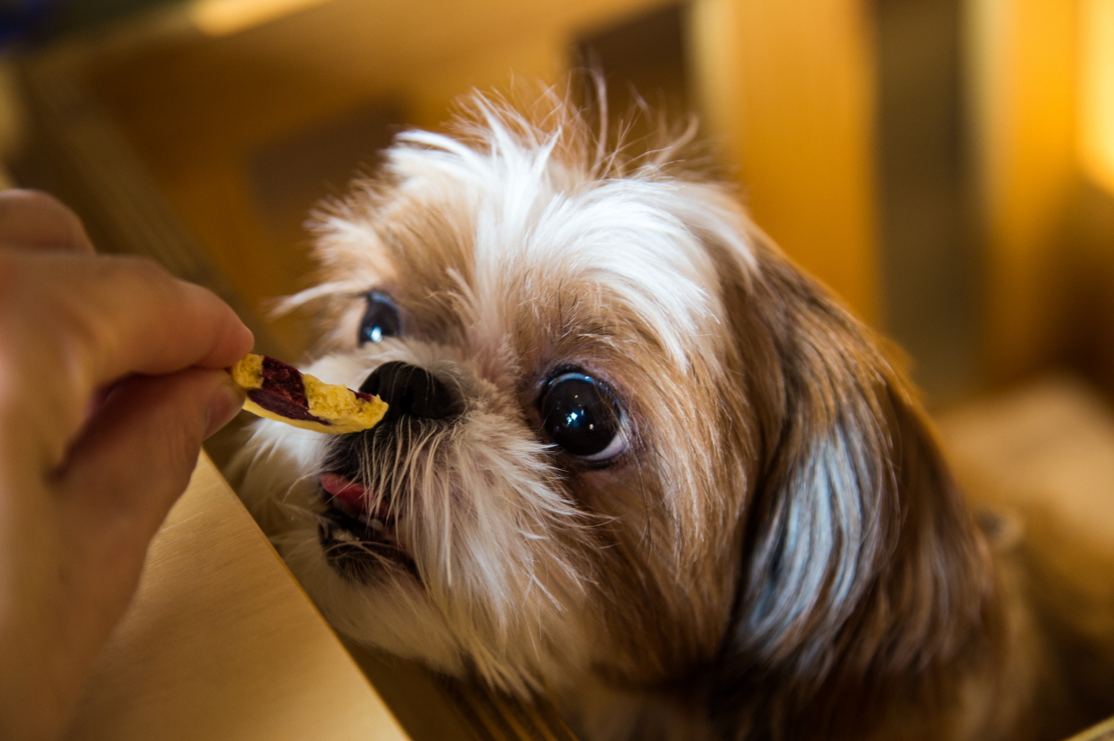 오랜만에 뚜비 소식 전해요~