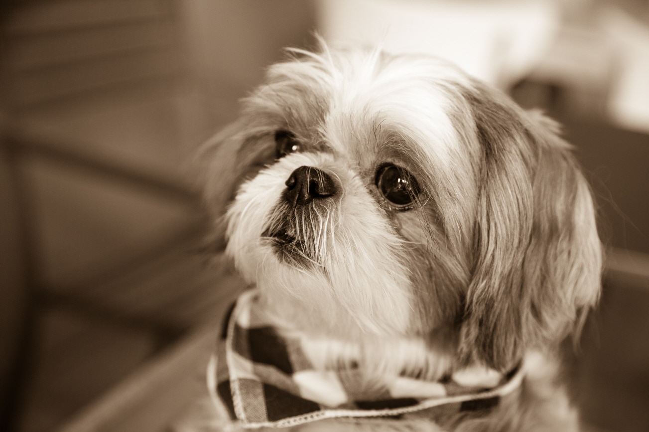 오랜만에 뚜비 소식 전해요~