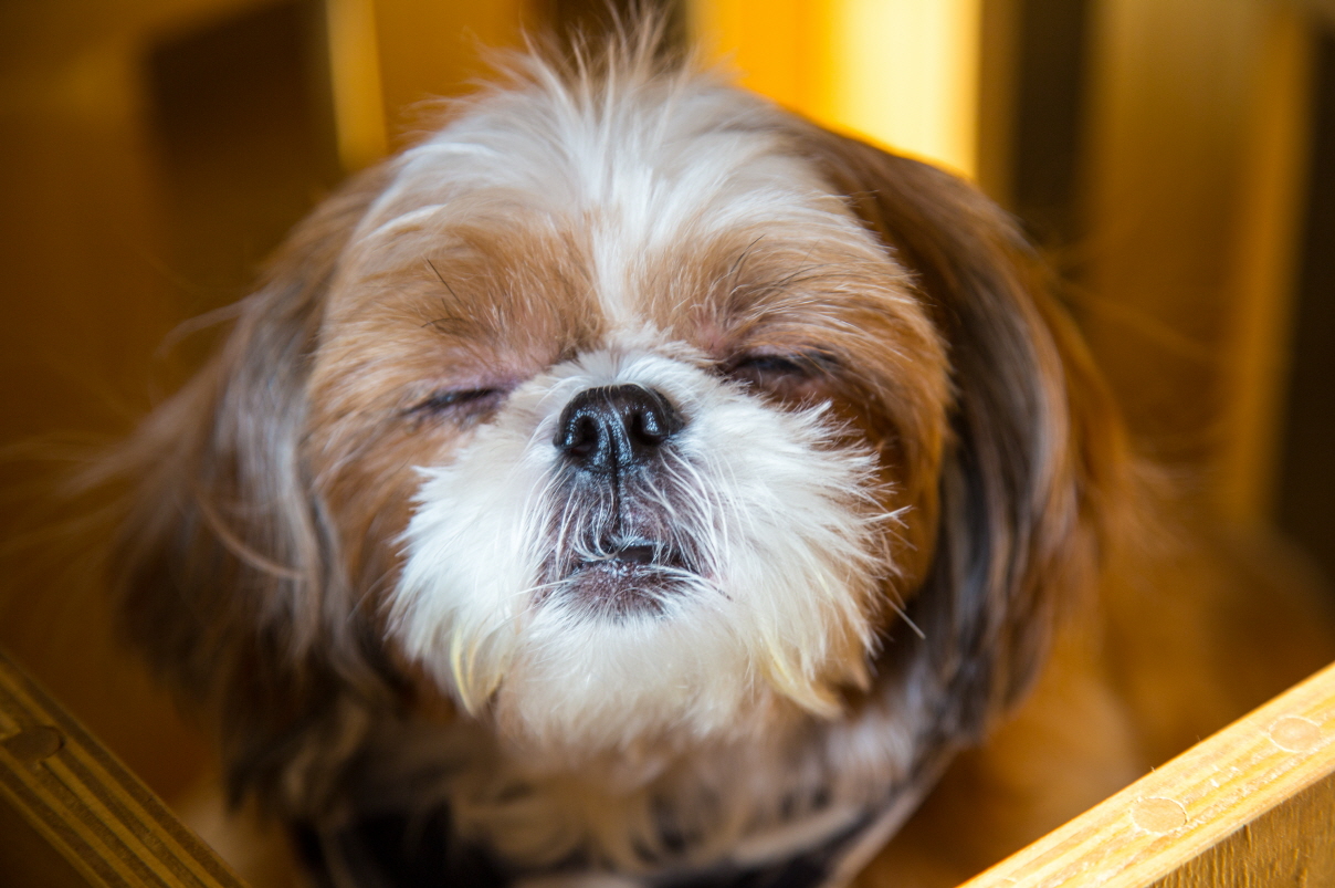 오랜만에 뚜비 소식 전해요~