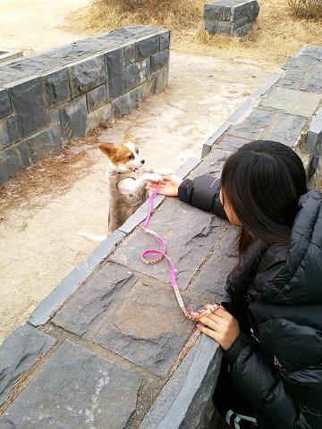 이쁜 콩이 두번째 후기에요~