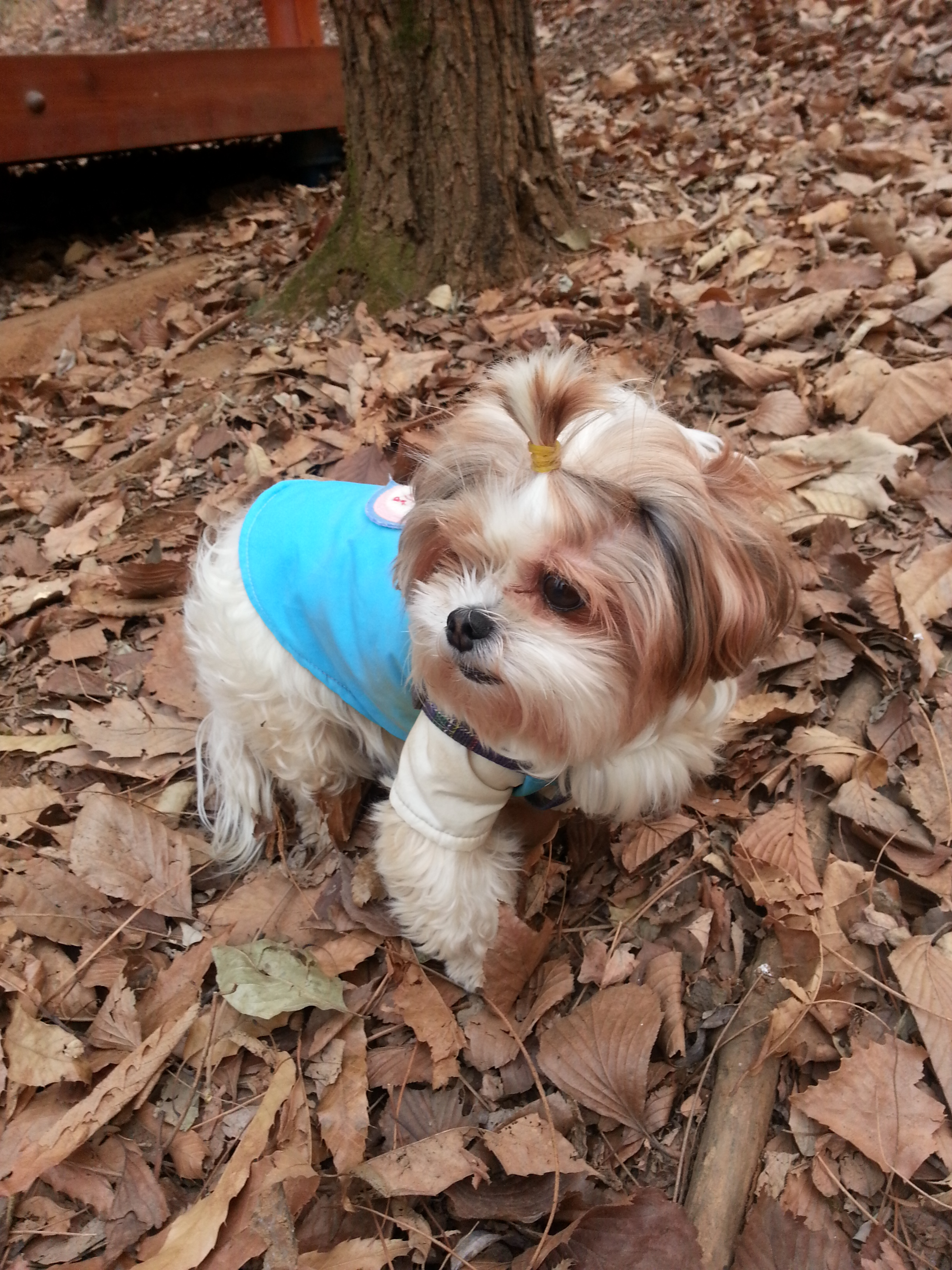 엔젤이 온지 어느덧 만 5년이 되어갑니다