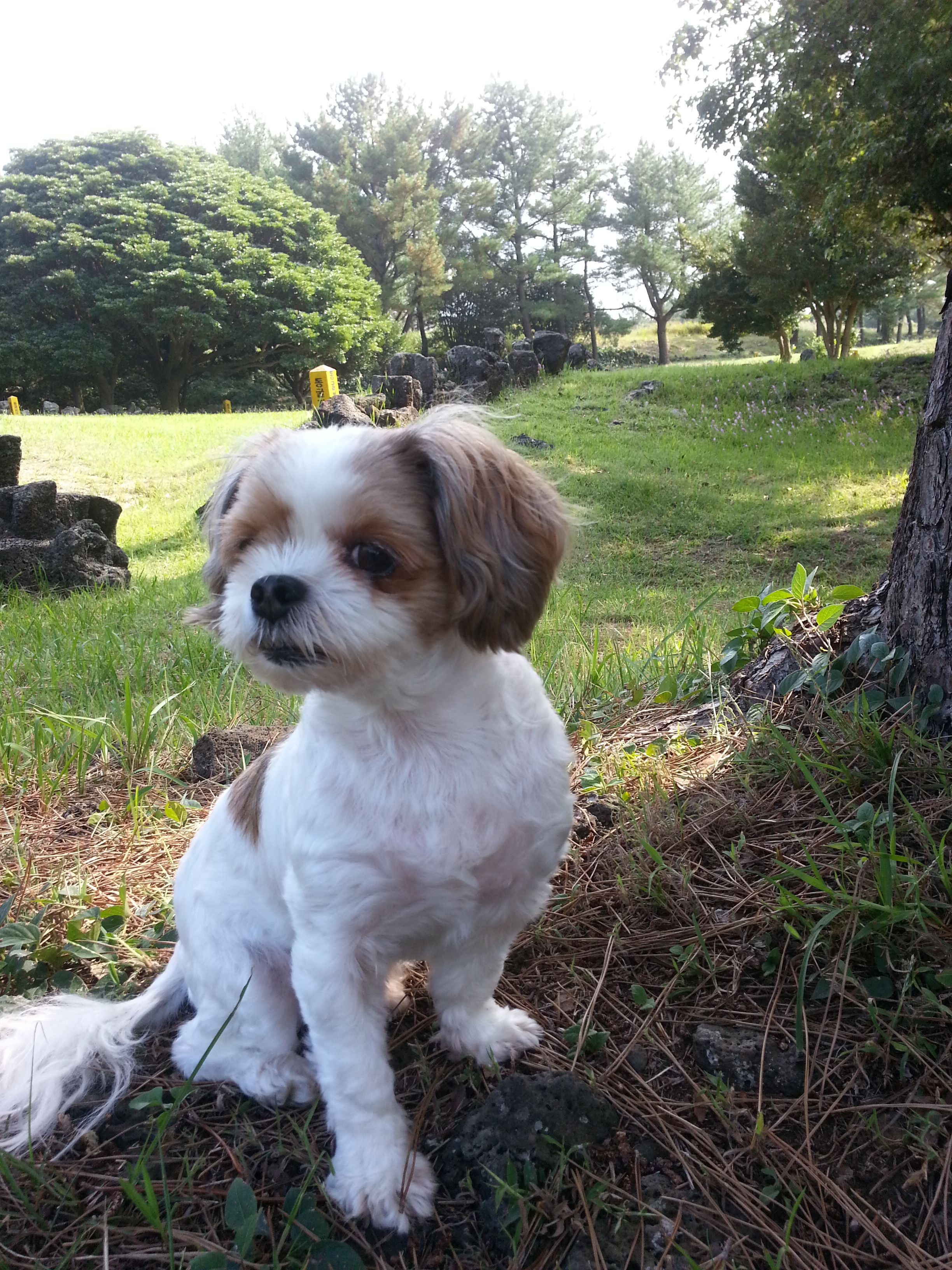 엔젤이 온지 어느덧 만 5년이 되어갑니다