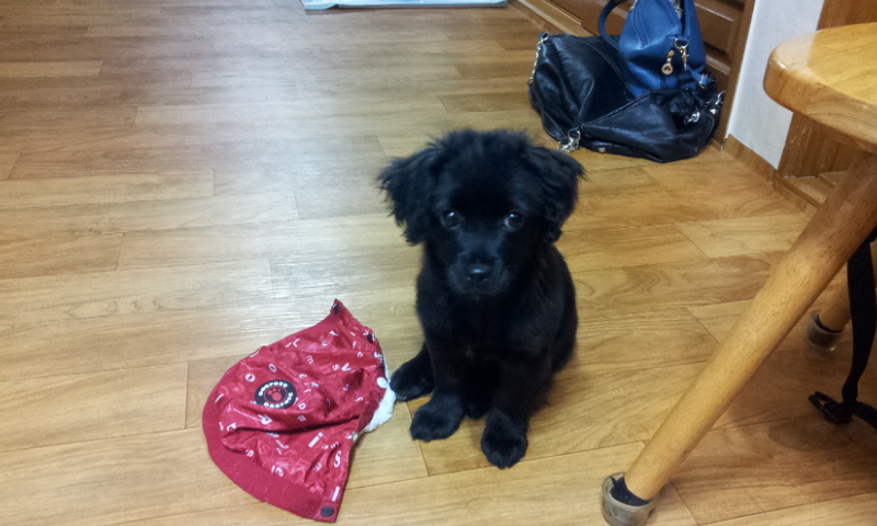 머리 부터 발 끝까지~사랑스러운 단심이(캔디)임양 후기 올려요