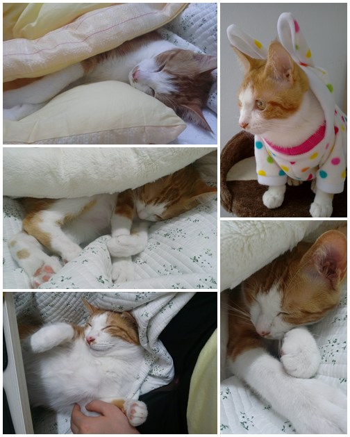 시우(영주) 인사드려요 ㅎㅎ