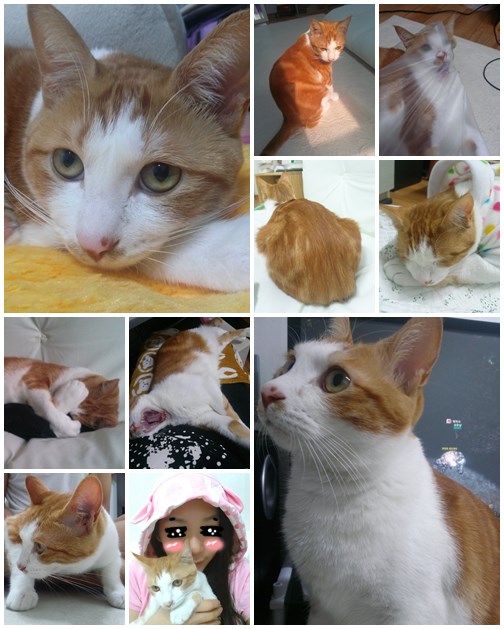 시우(영주) 인사드려요 ㅎㅎ