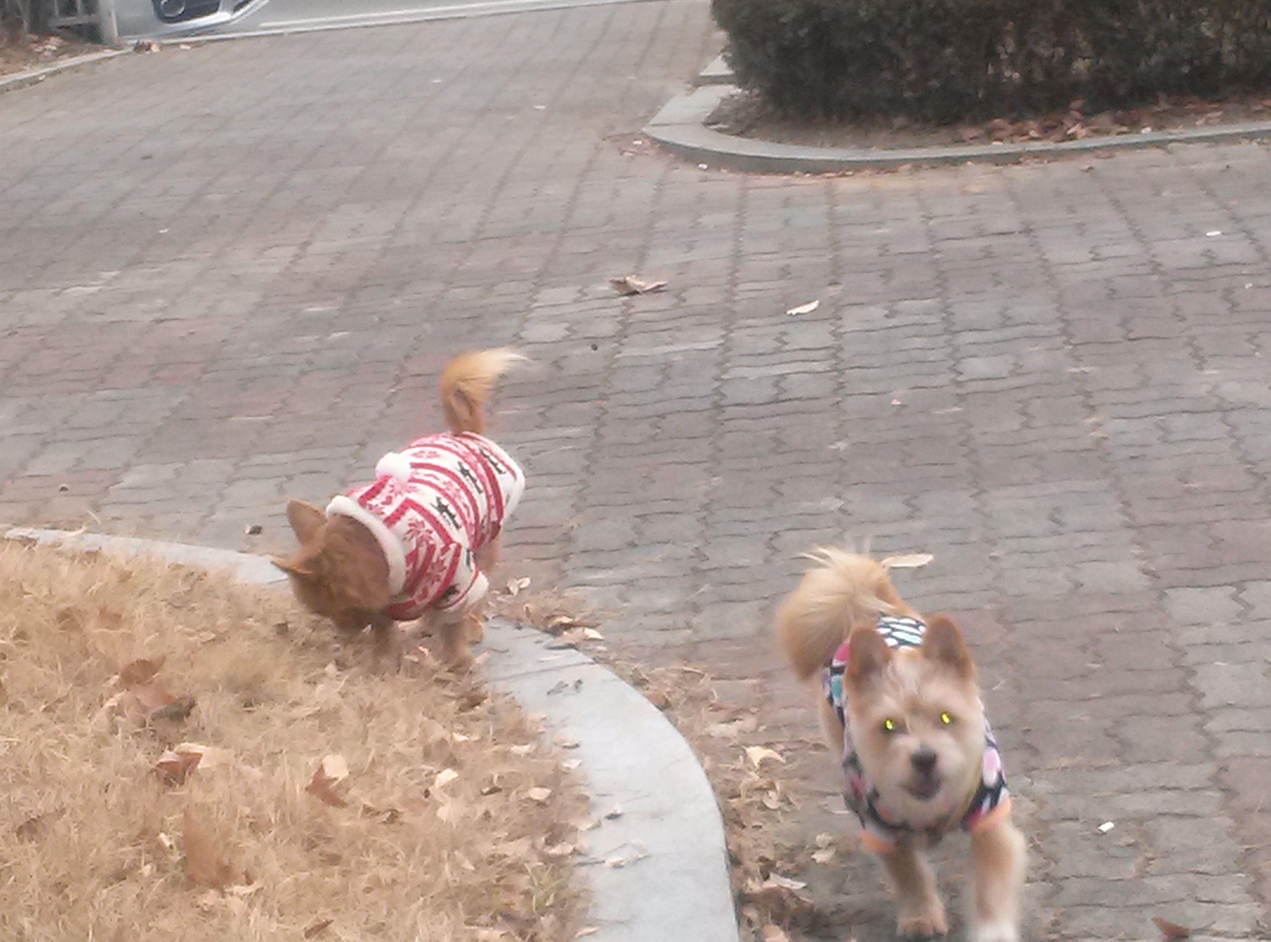 누구일까~~요~??