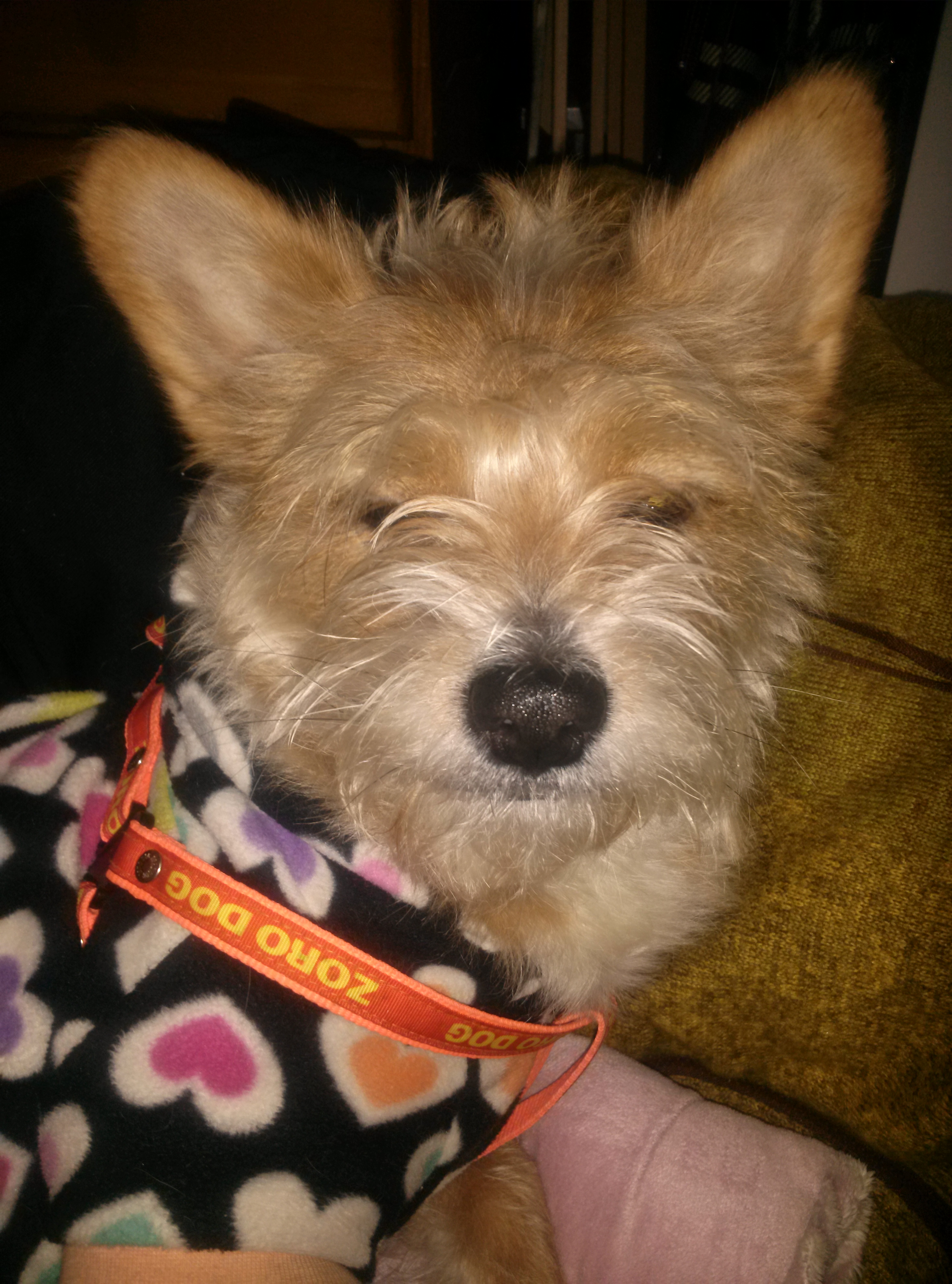 누구일까~~요~??