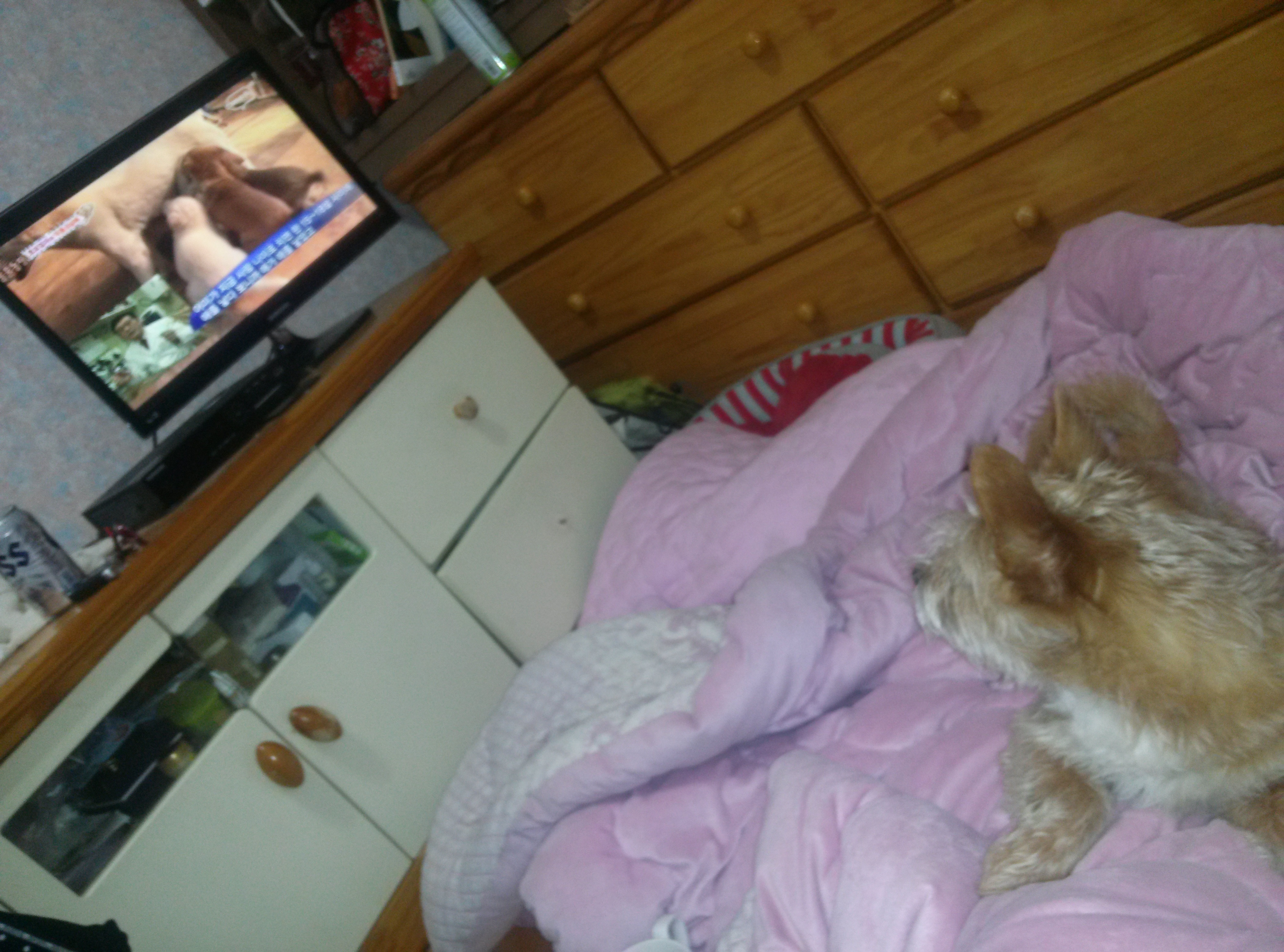 누구일까~~요~??