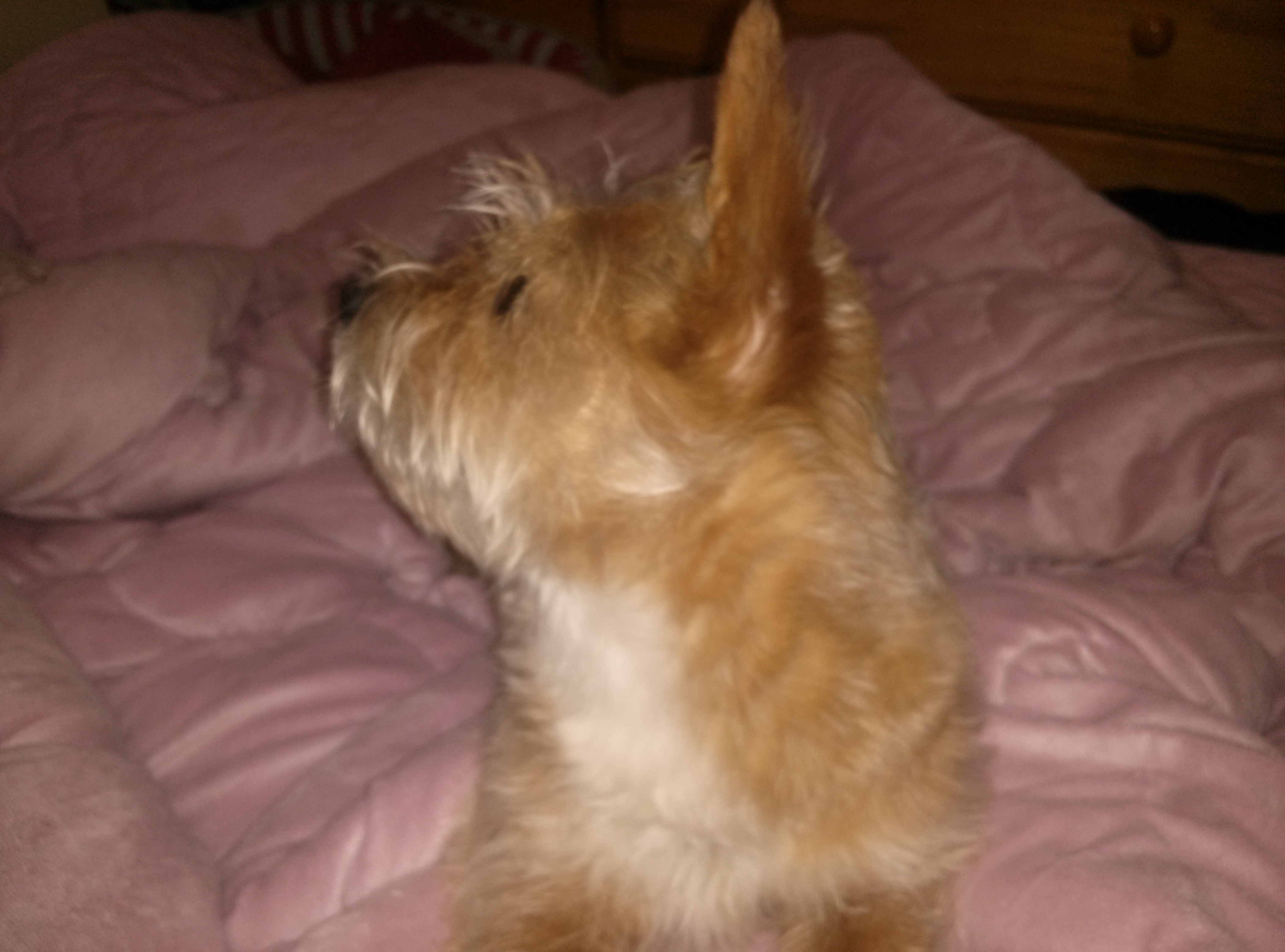 누구일까~~요~??