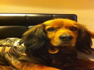 홍대의 얼짱으로 통하는 애정이 입니다.