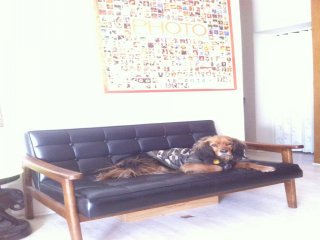 홍대의 얼짱으로 통하는 애정이 입니다.