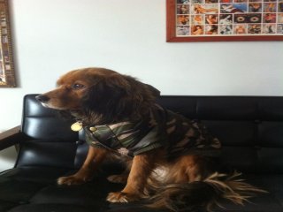 홍대의 얼짱으로 통하는 애정이 입니다.