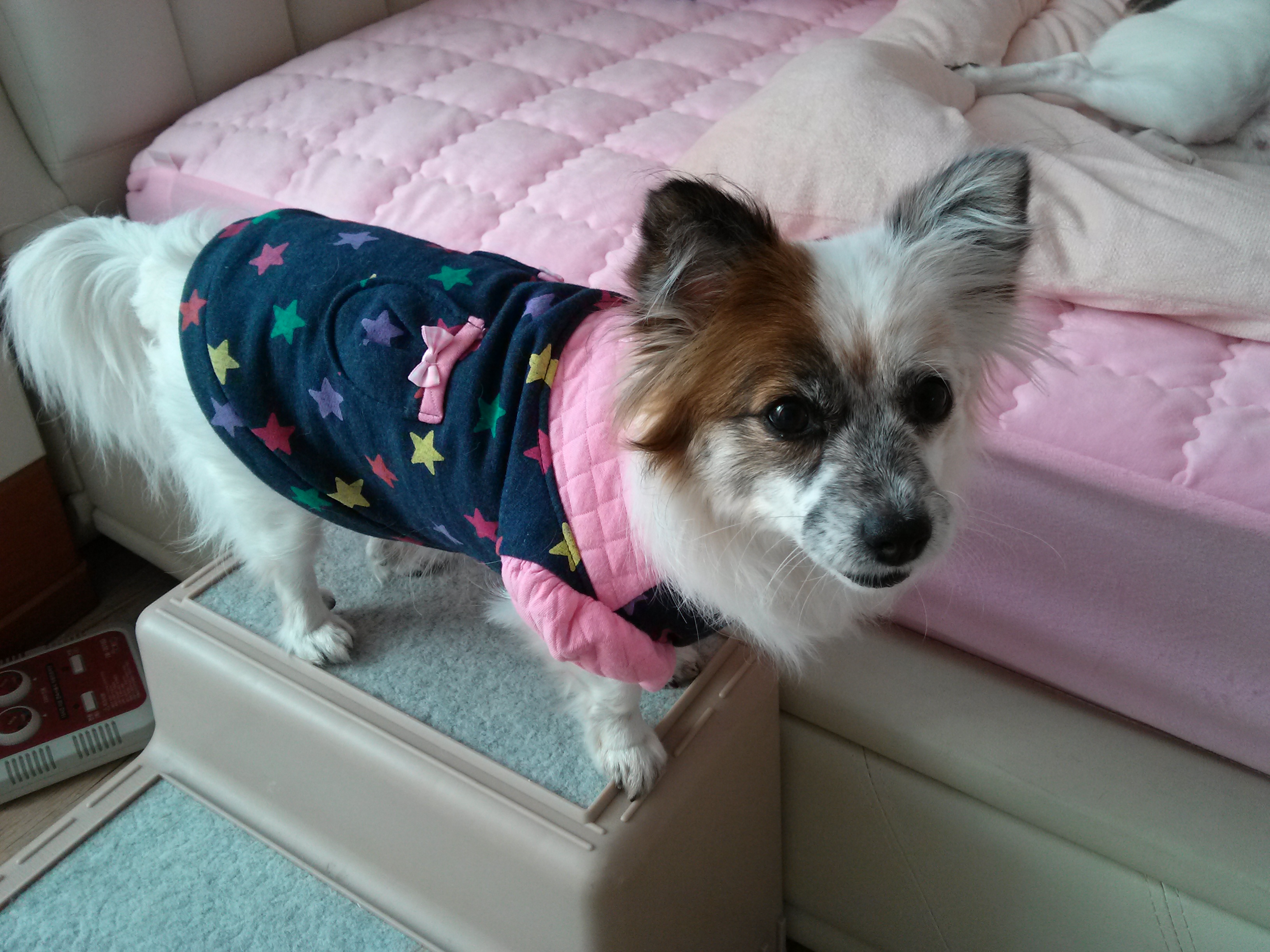 수라는 안아달라 예뻐해달라 보채는 애기가 되버렸어요