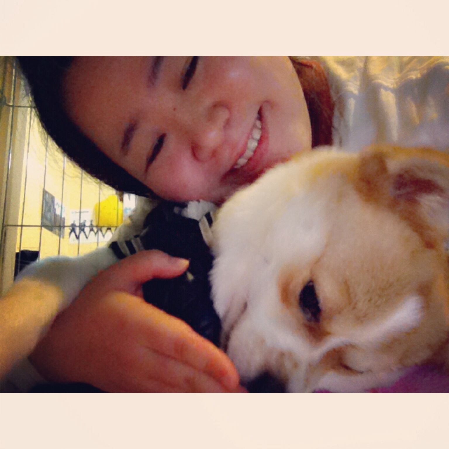 돼지 또 왔어용